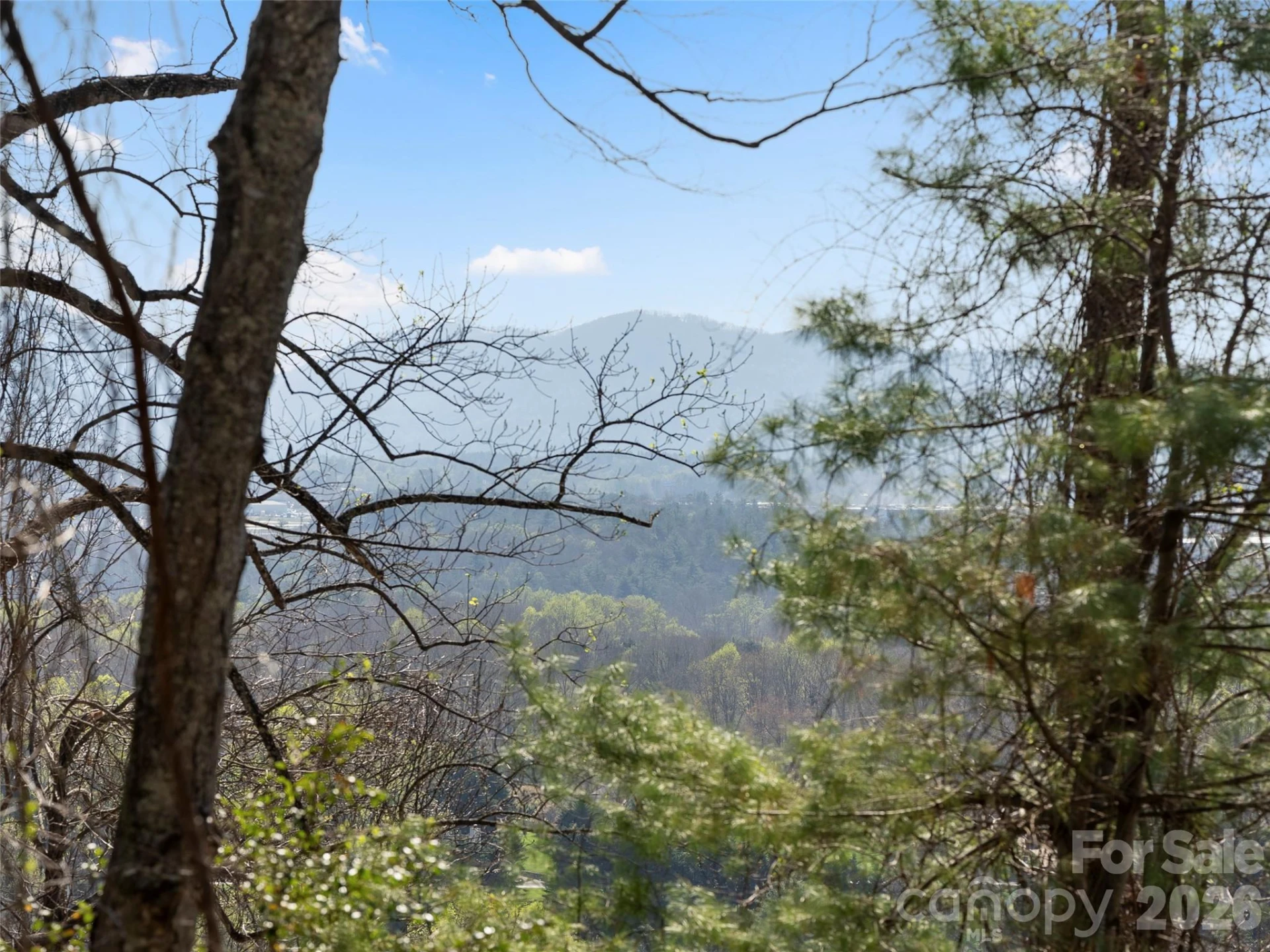 44 Ridge Pine Trail #83 - Photo 3