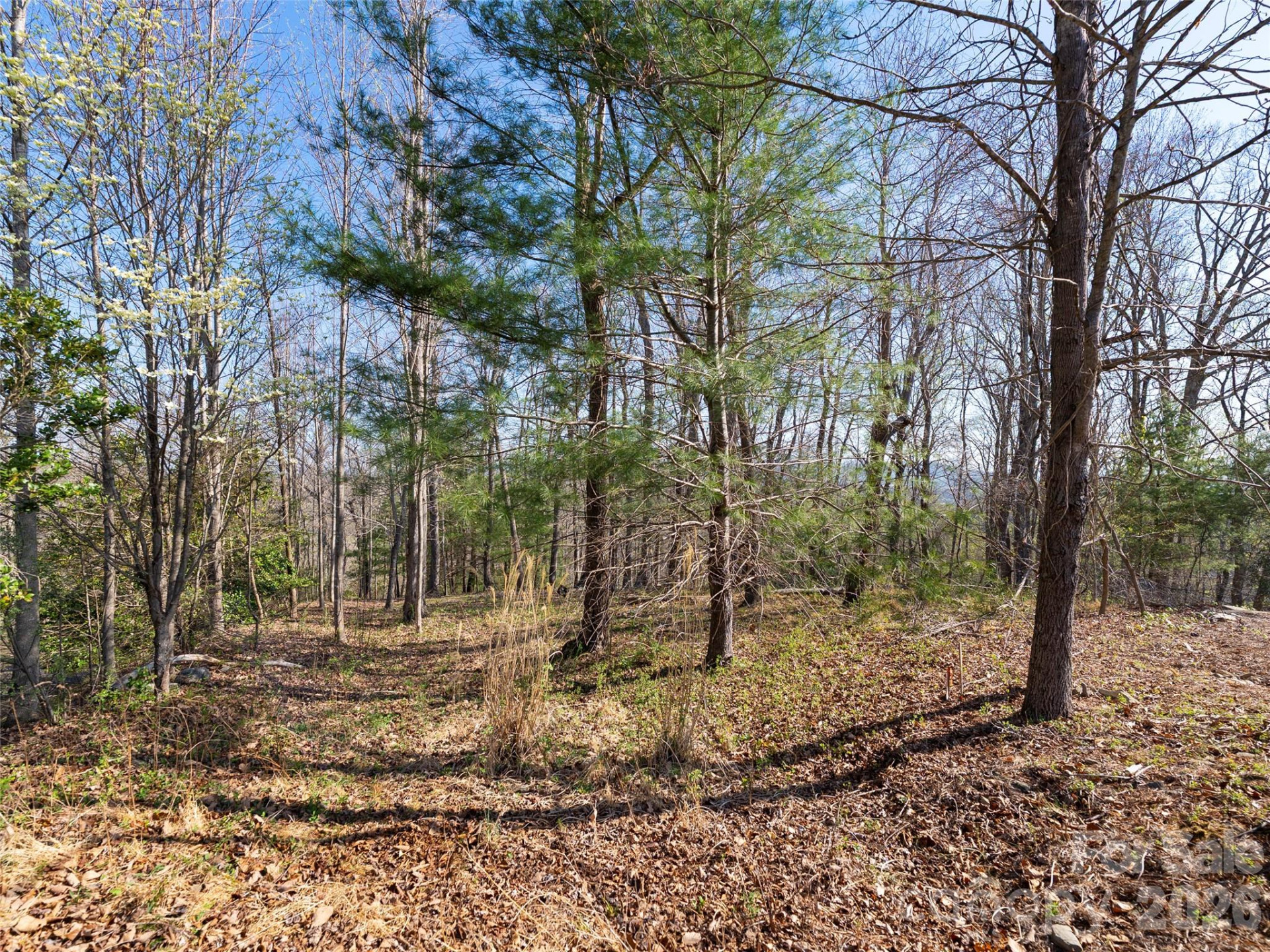 44 Ridge Pine Trail #83 - Photo 15