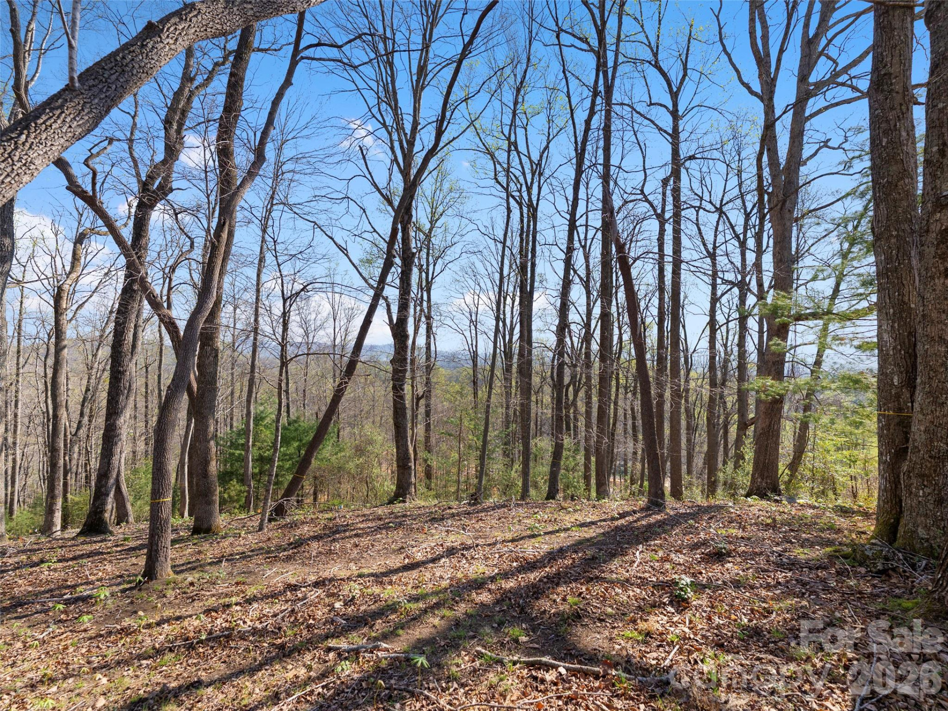 44 Ridge Pine Trail #83 - Photo 16