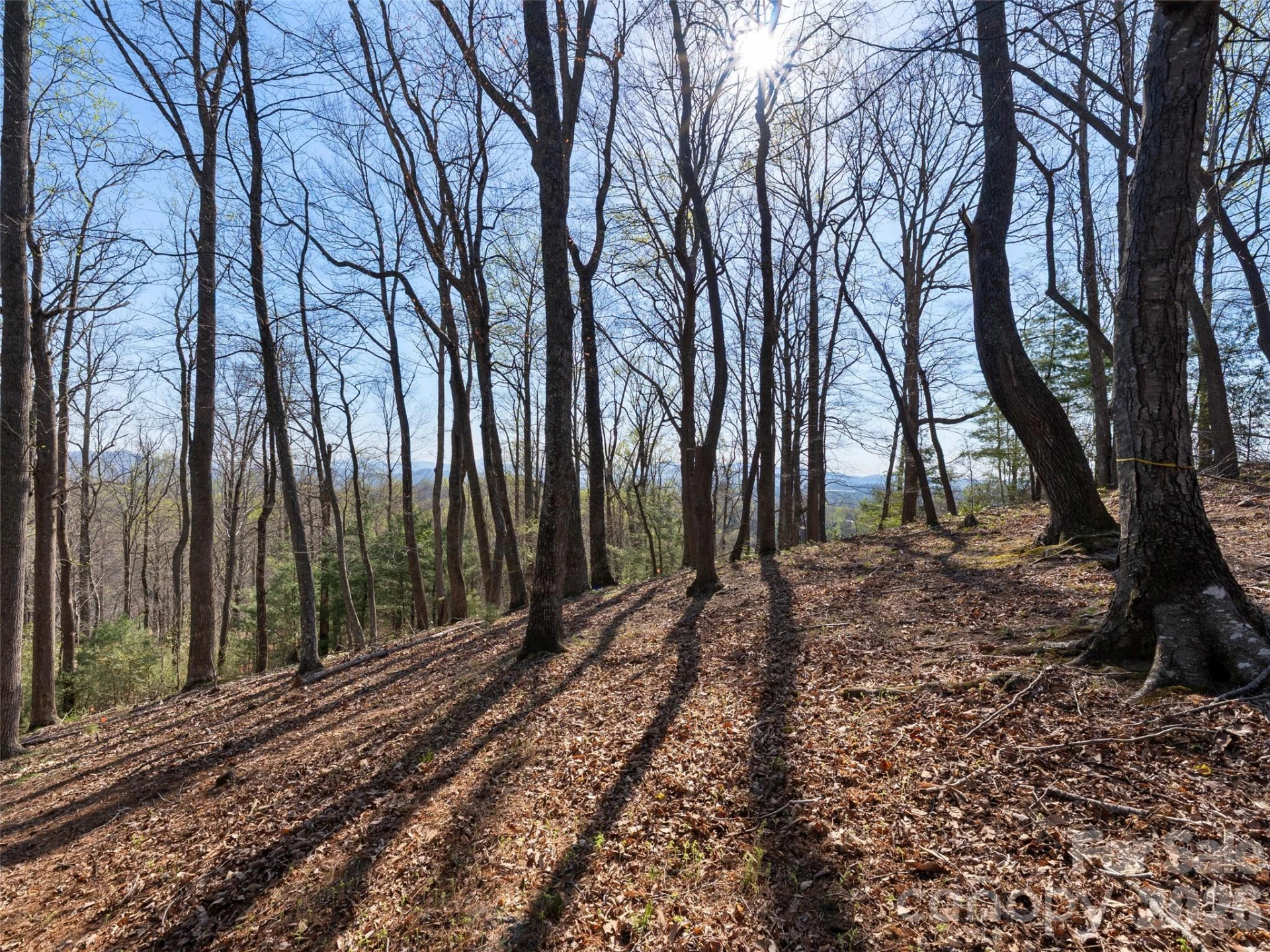 44 Ridge Pine Trail #83 - Photo 17