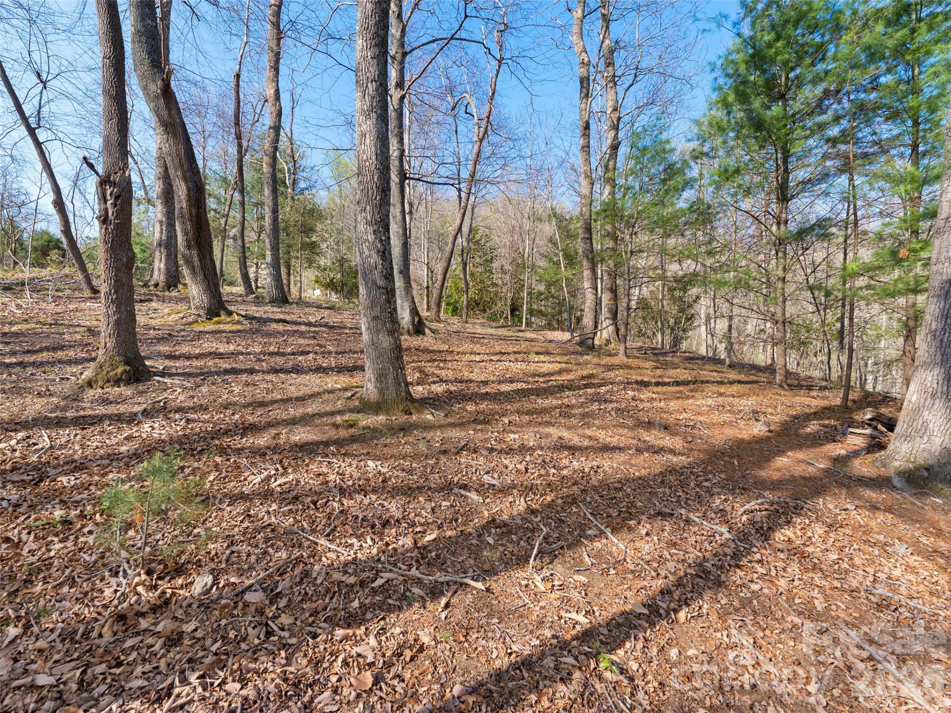 44 Ridge Pine Trail #83 - Photo 18