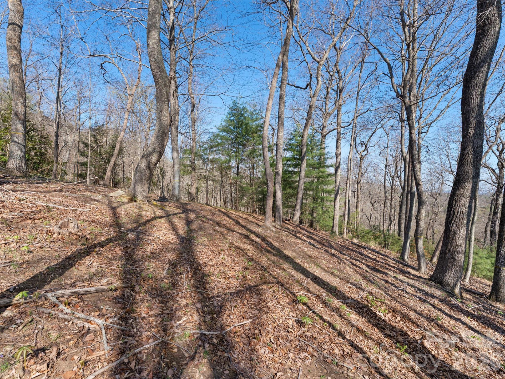 44 Ridge Pine Trail #83 - Photo 19