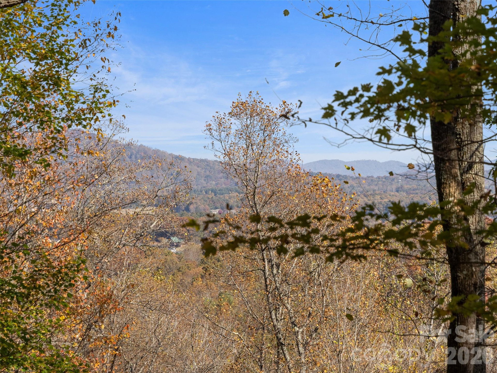 44 Ridge Pine Trail #83 - Photo 3