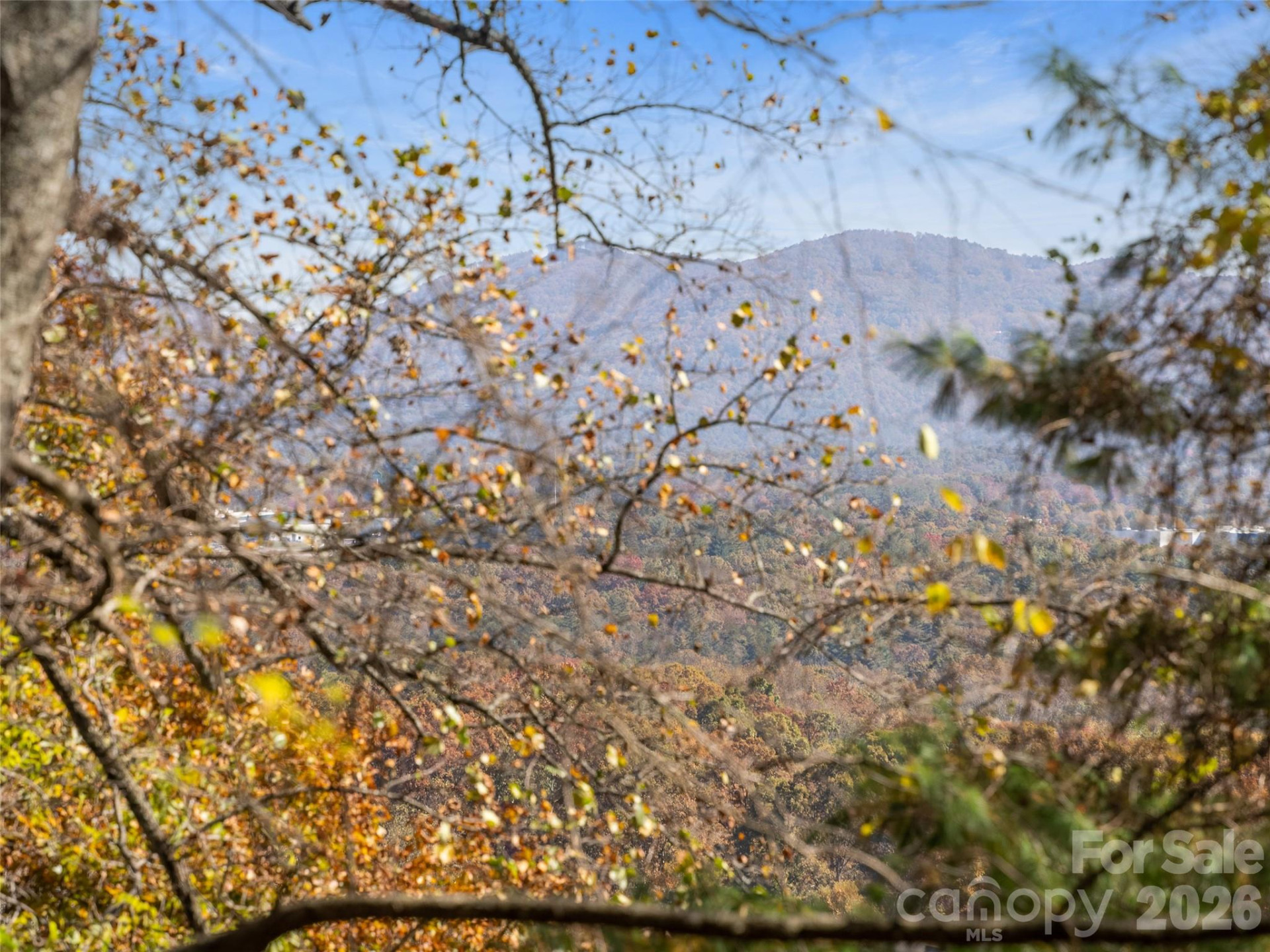 44 Ridge Pine Trail #83 - Photo 4