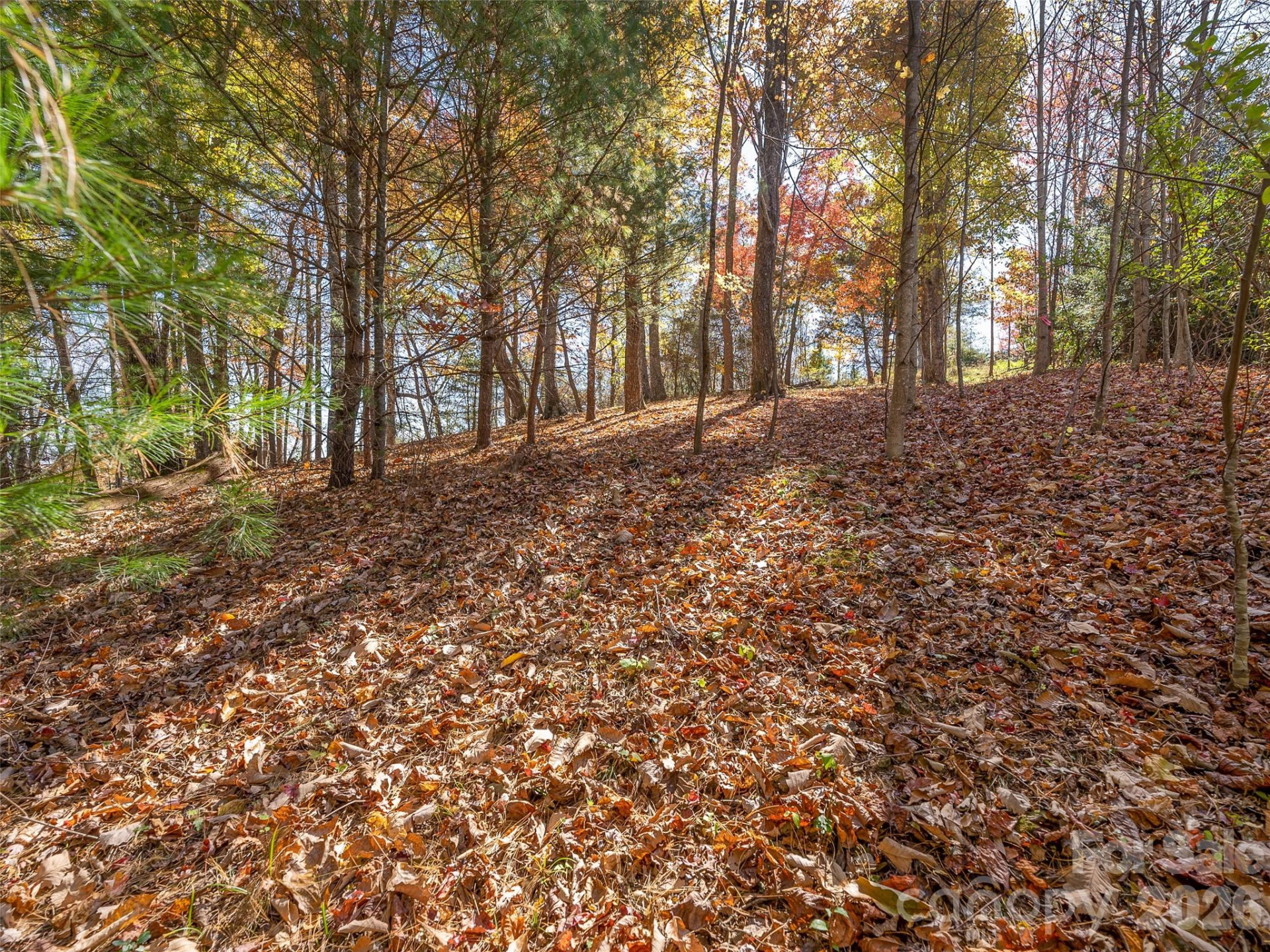 44 Ridge Pine Trail #83 - Photo 5