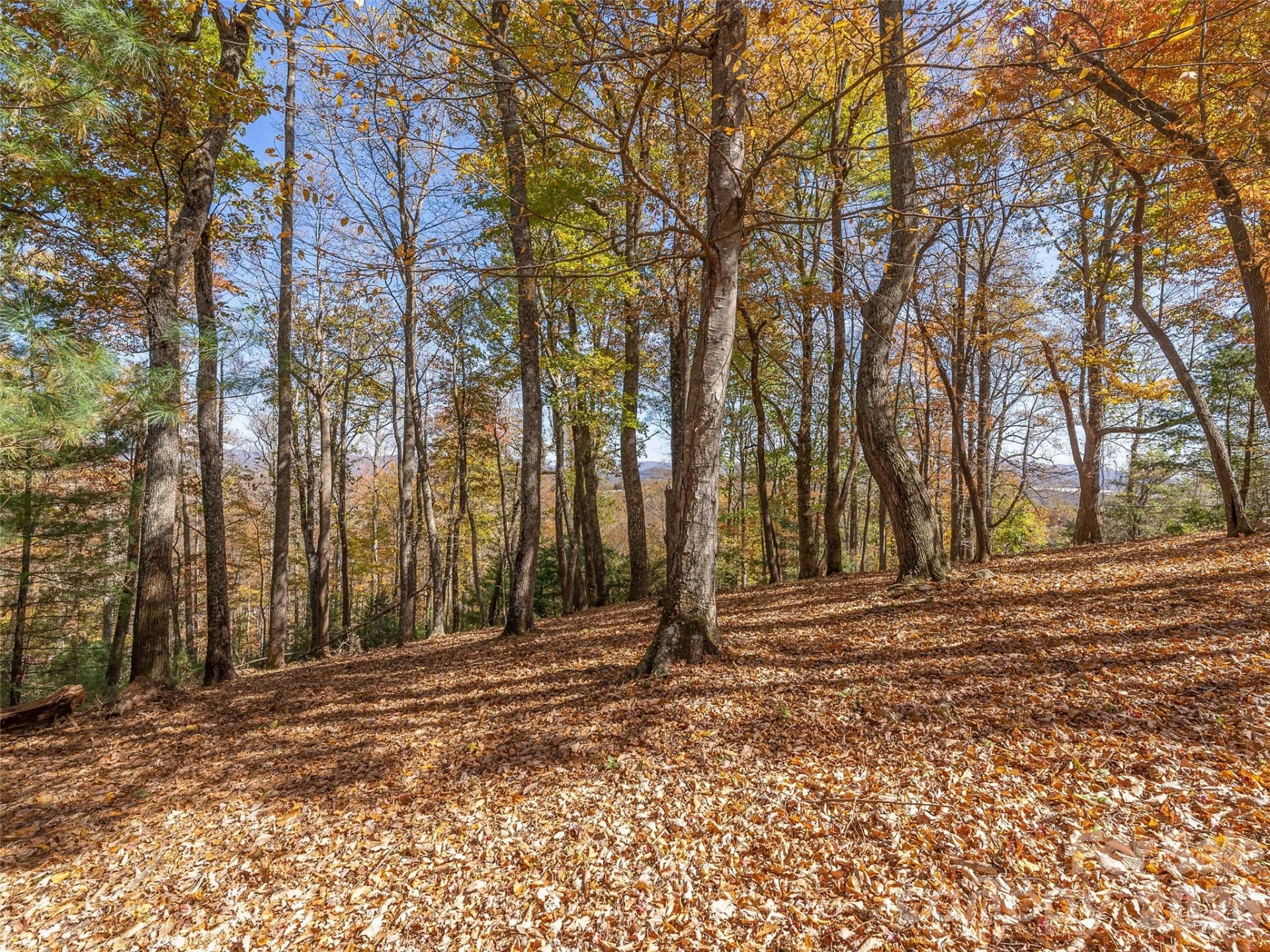 44 Ridge Pine Trail #83 - Photo 10