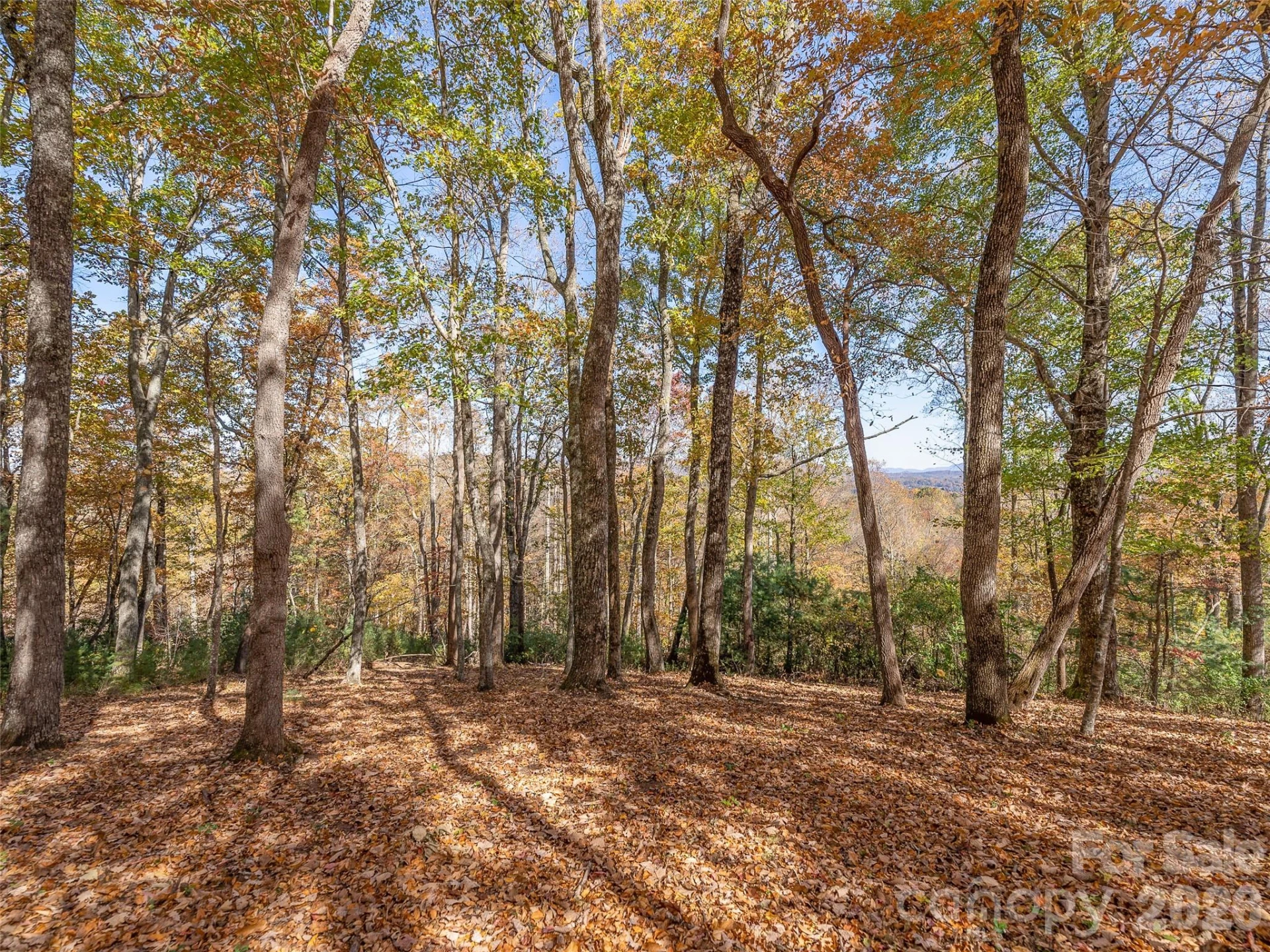 44 Ridge Pine Trail #83 - Photo 11