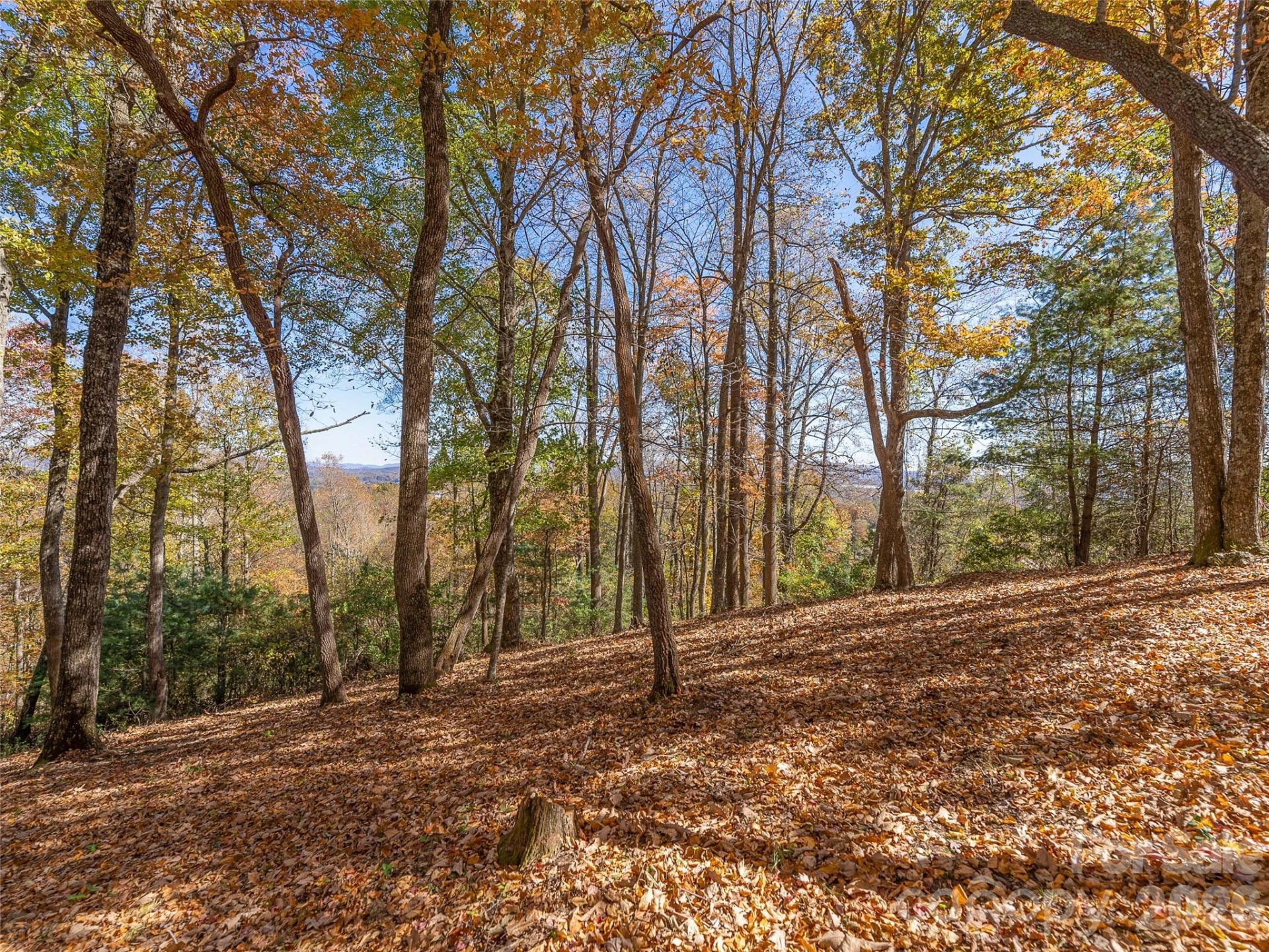 44 Ridge Pine Trail #83 - Photo 12