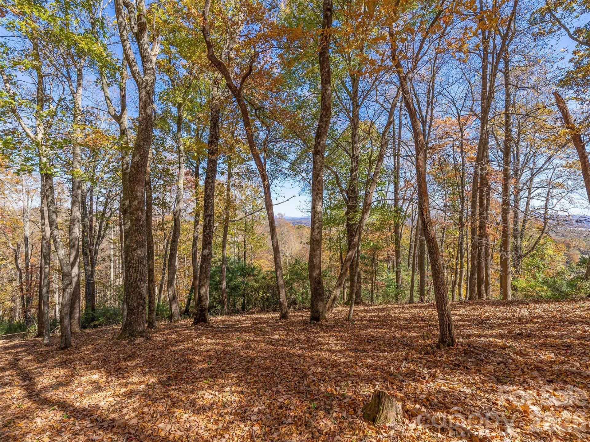 44 Ridge Pine Trail #83 - Photo 13