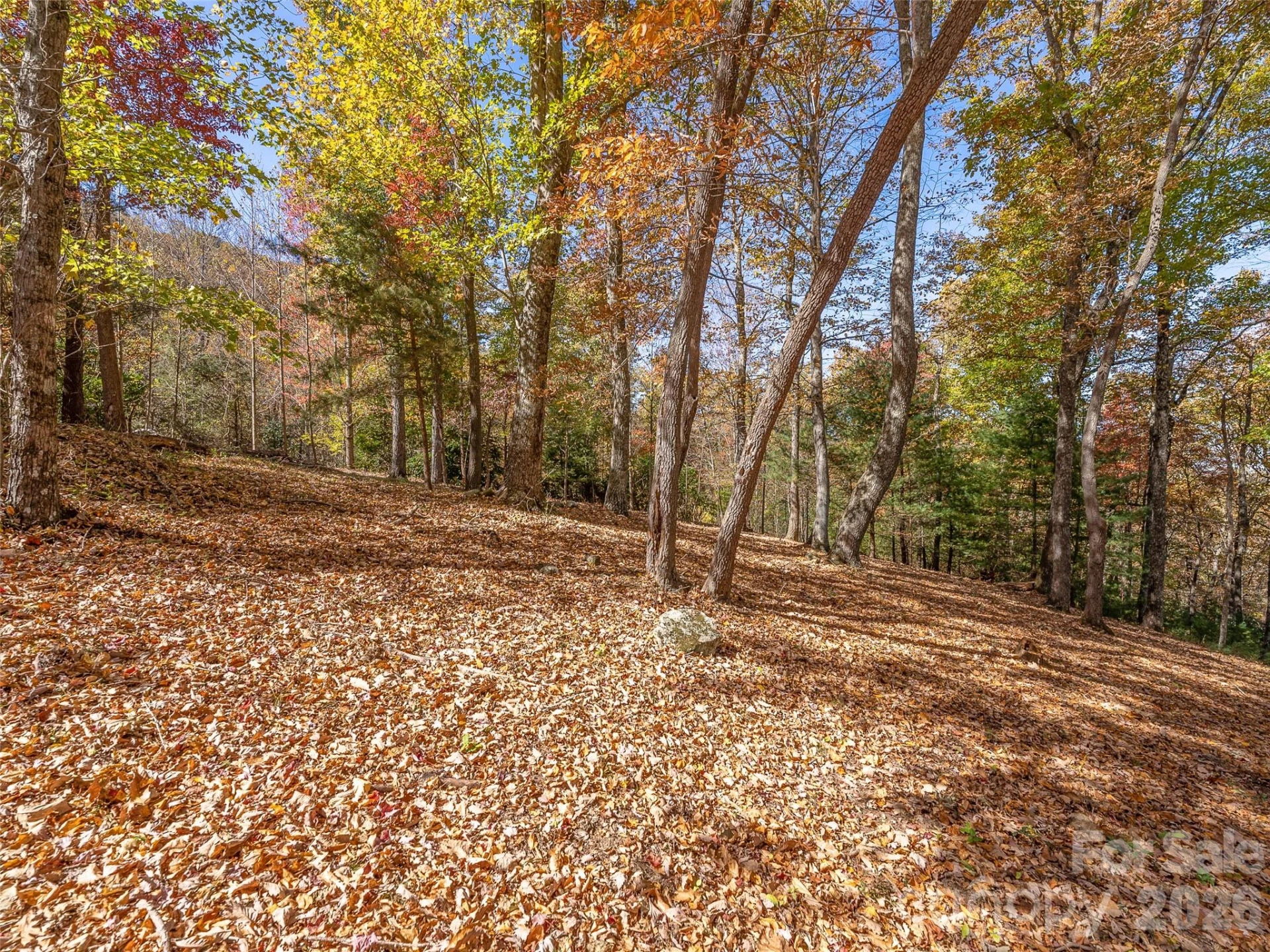 44 Ridge Pine Trail #83 - Photo 14