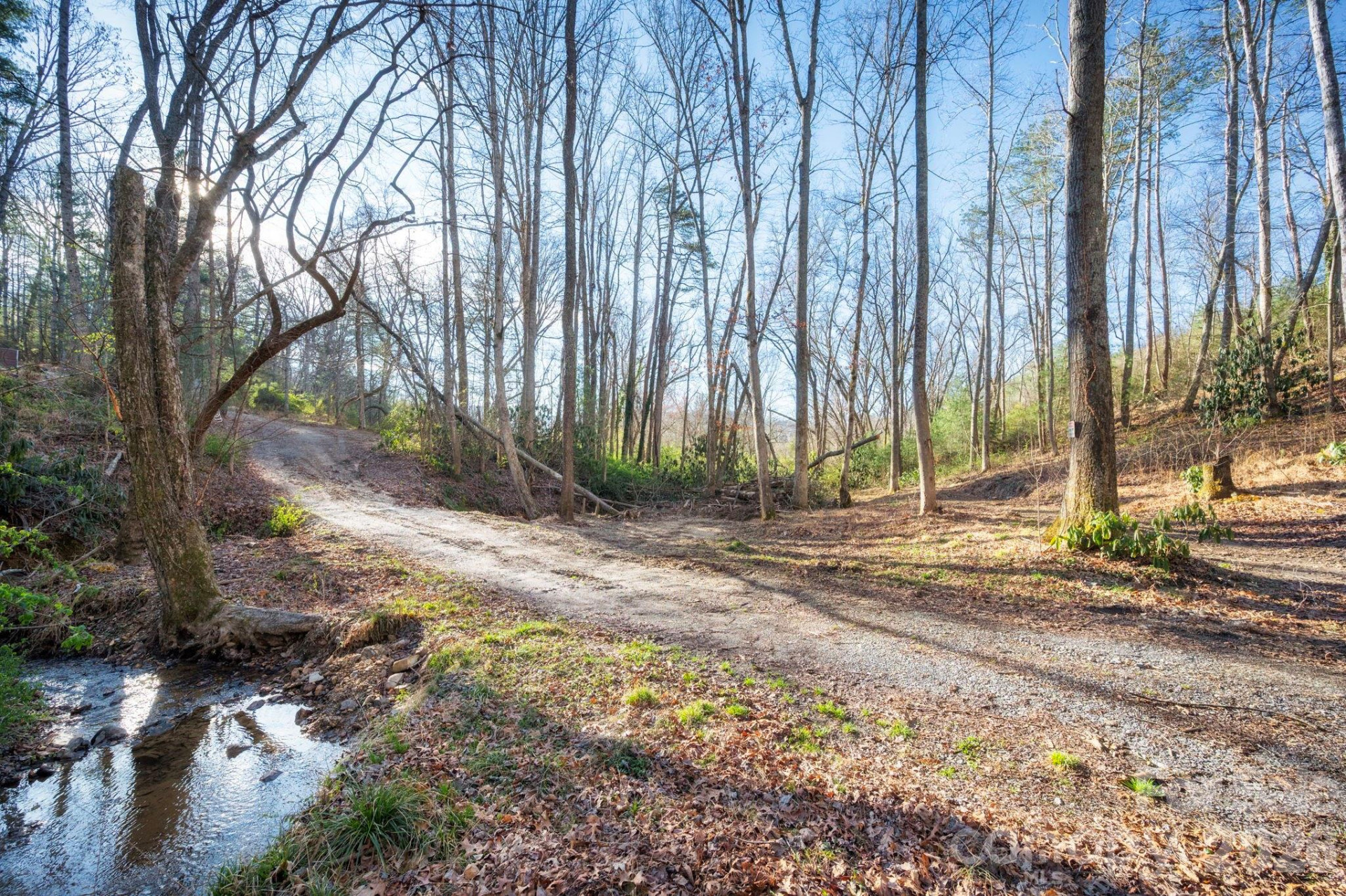 101 Laurel Loop - Photo 2