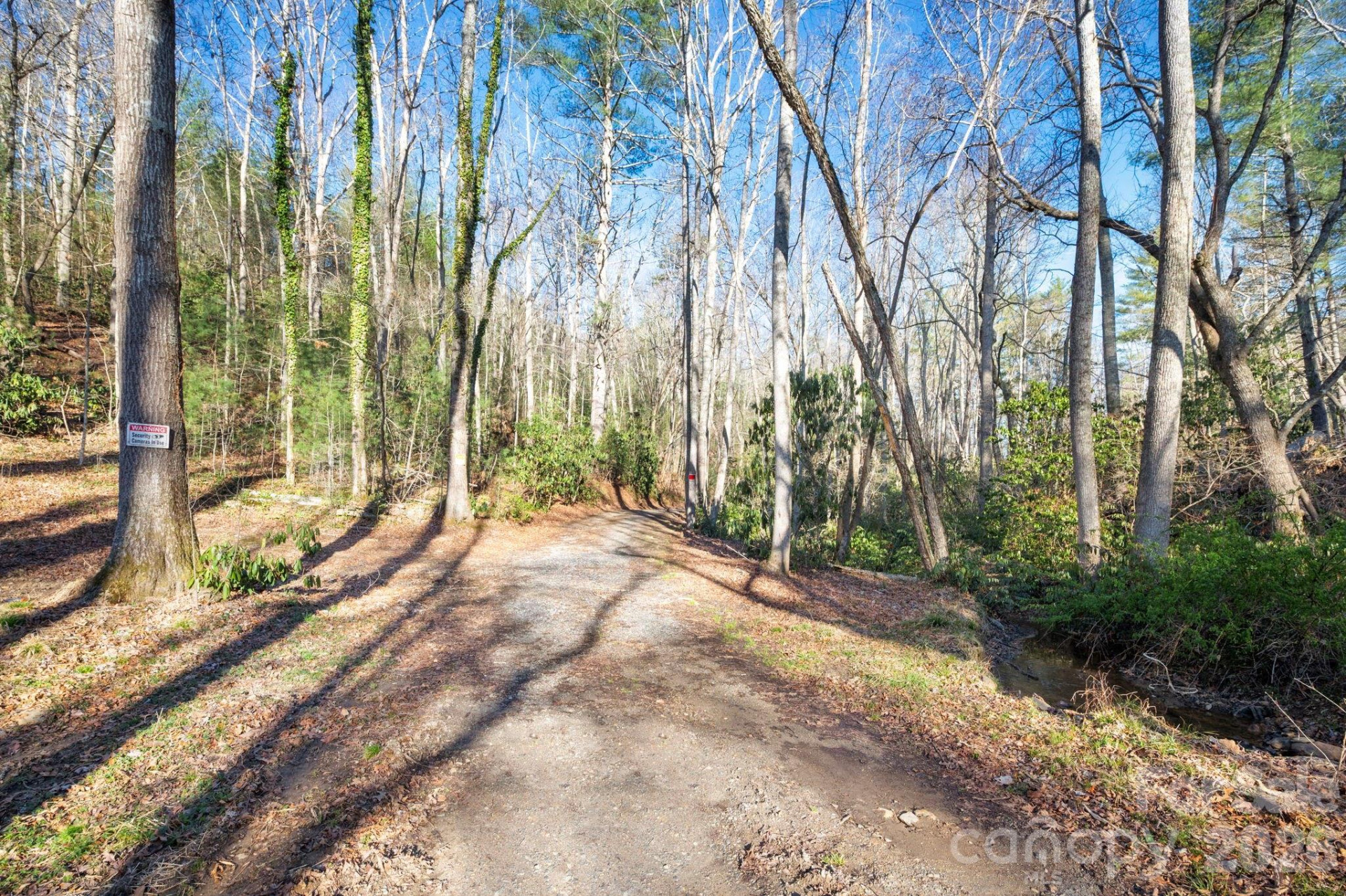 101 Laurel Loop - Photo 3