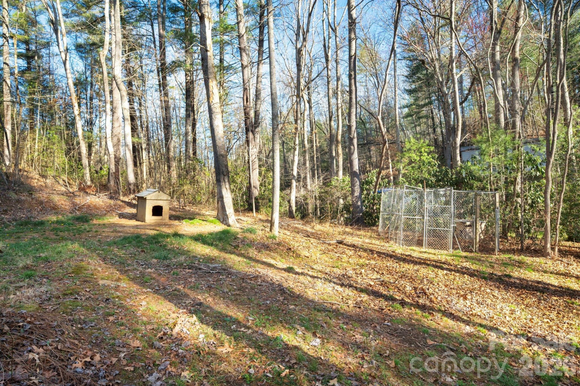 101 Laurel Loop - Photo 22