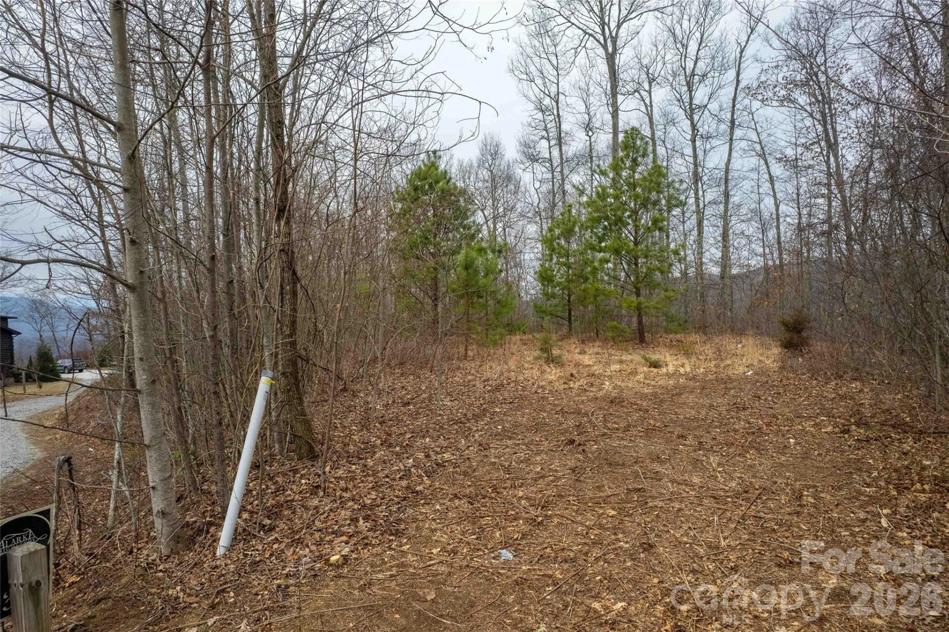 Lot 33 Alarka Highlands Road - Photo 6