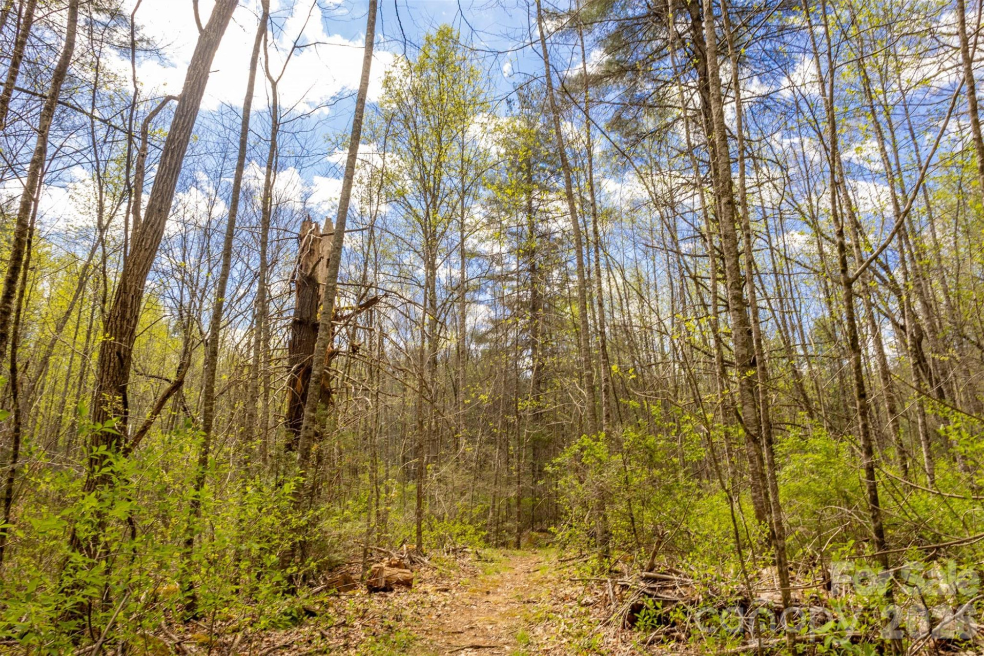 82 Meadow Ridge Court - Photo 28