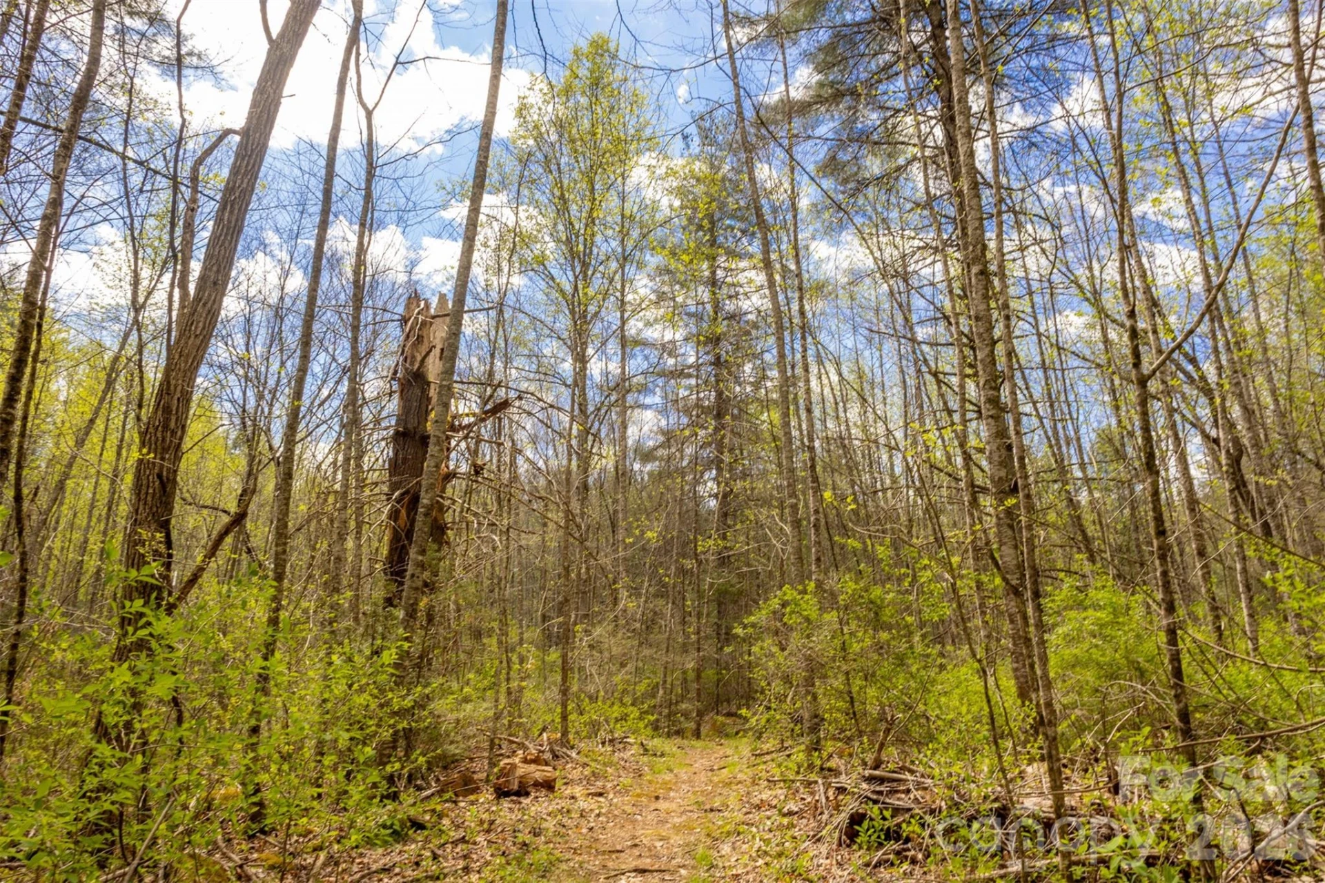 82 Meadow Ridge Court - Photo 28