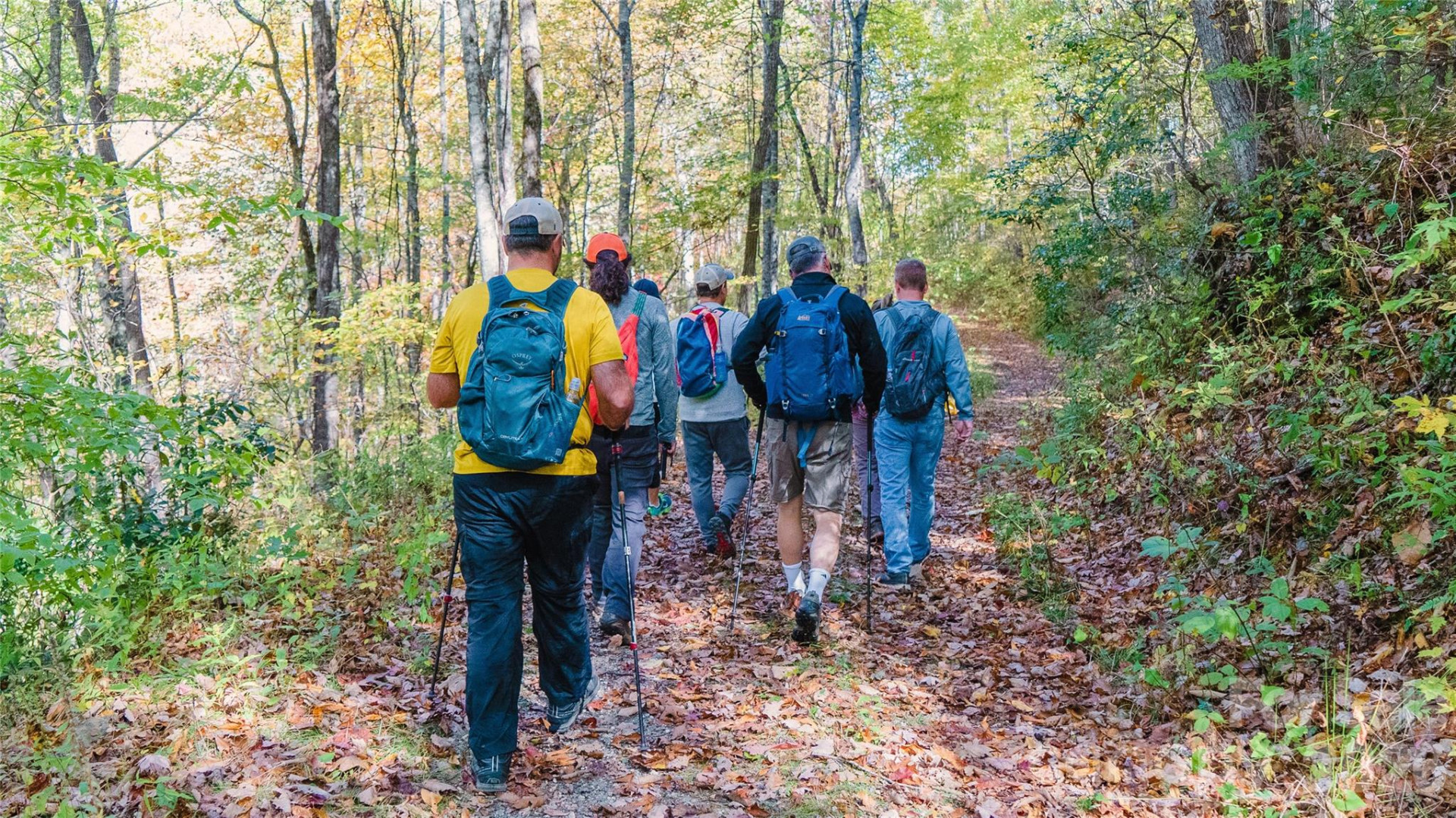 82 Meadow Ridge Court - Photo 36