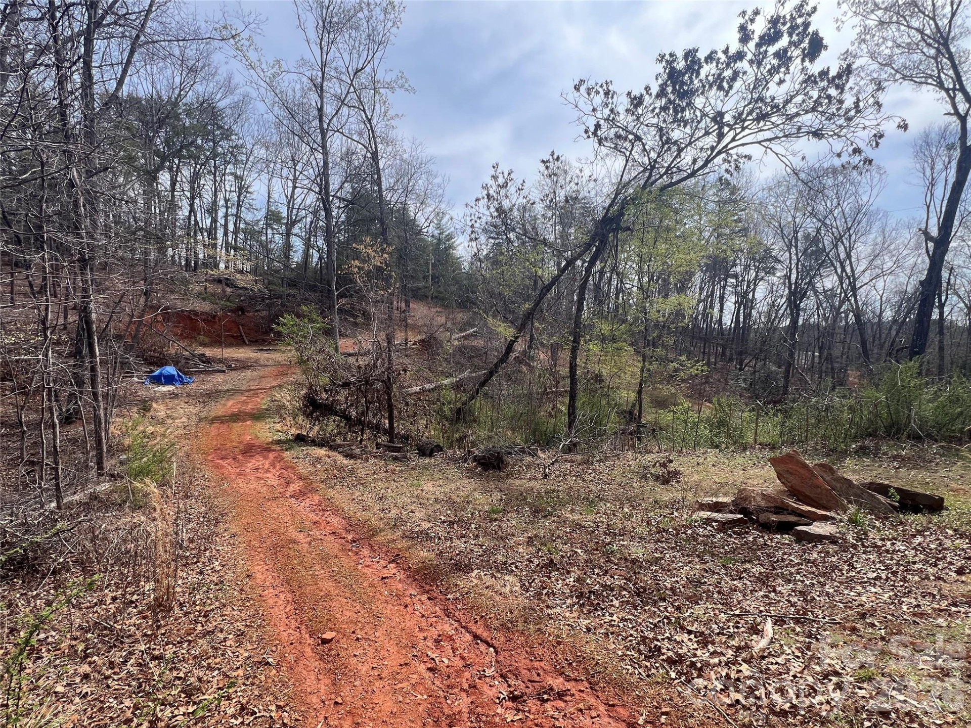 365 Hillbilly Lane - Photo 15