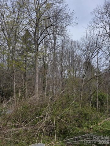 41 Jack Rabbit Drive, Marion, NC, 28752