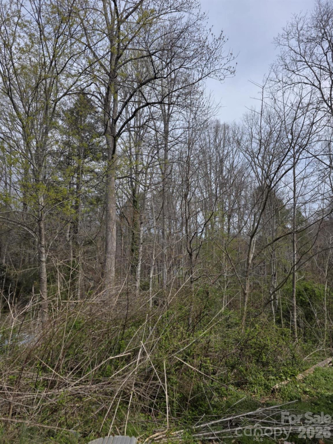 41 Jack Rabbit Drive