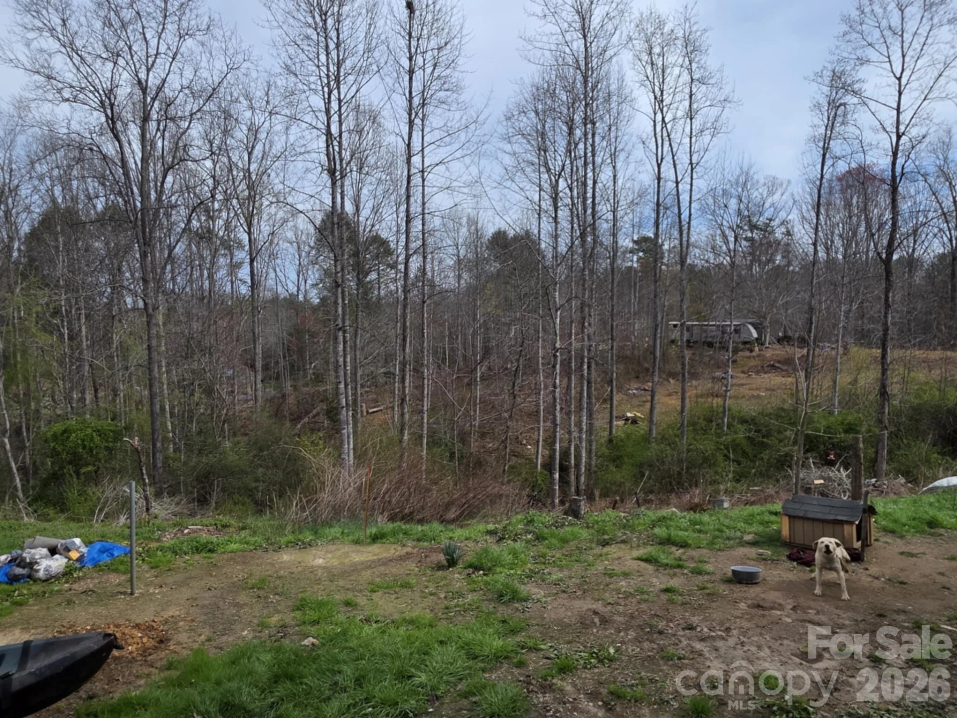 41 Jack Rabbit Drive - Photo 5