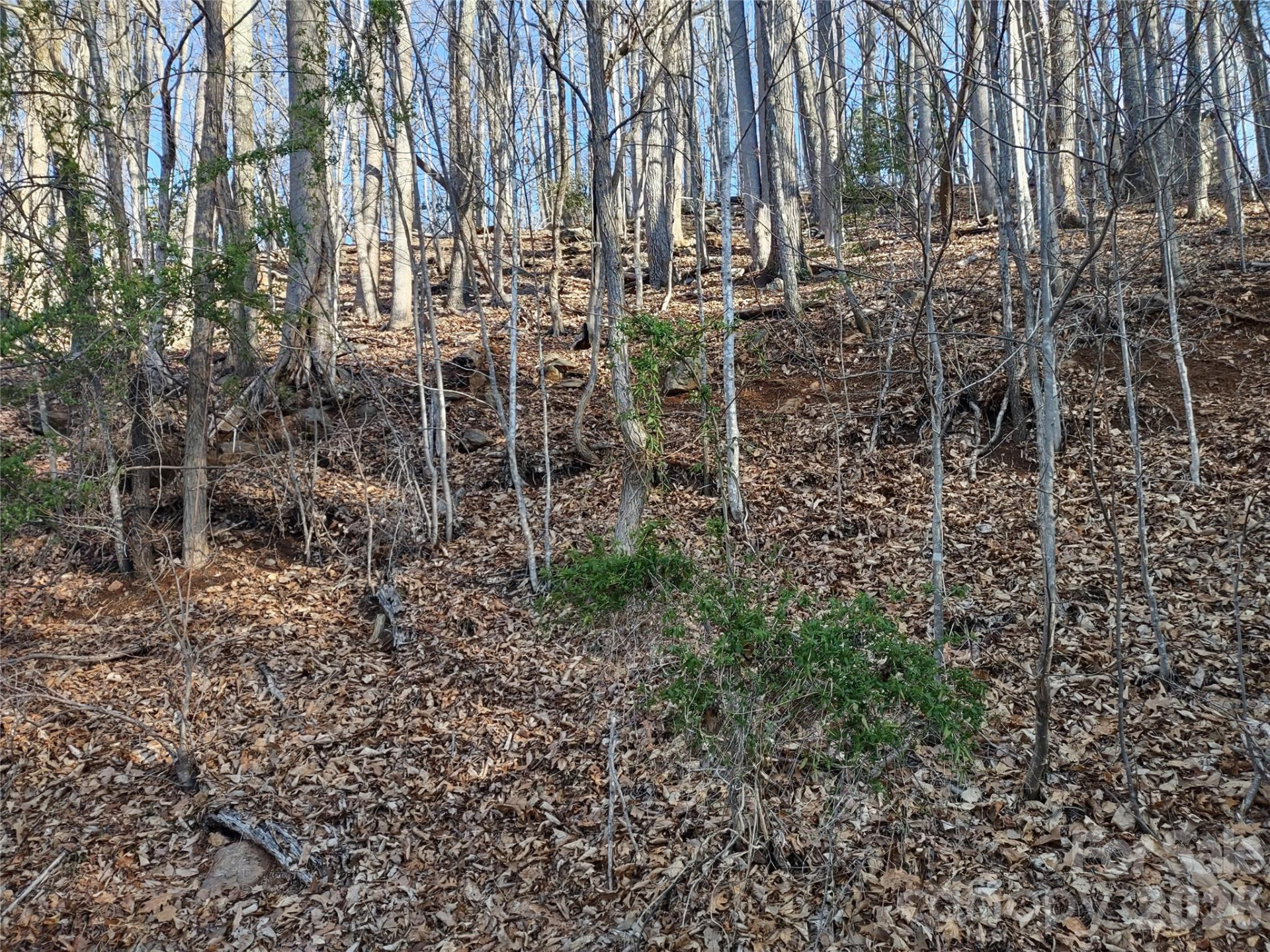 99999 Cedar Drive #273 - Photo 3