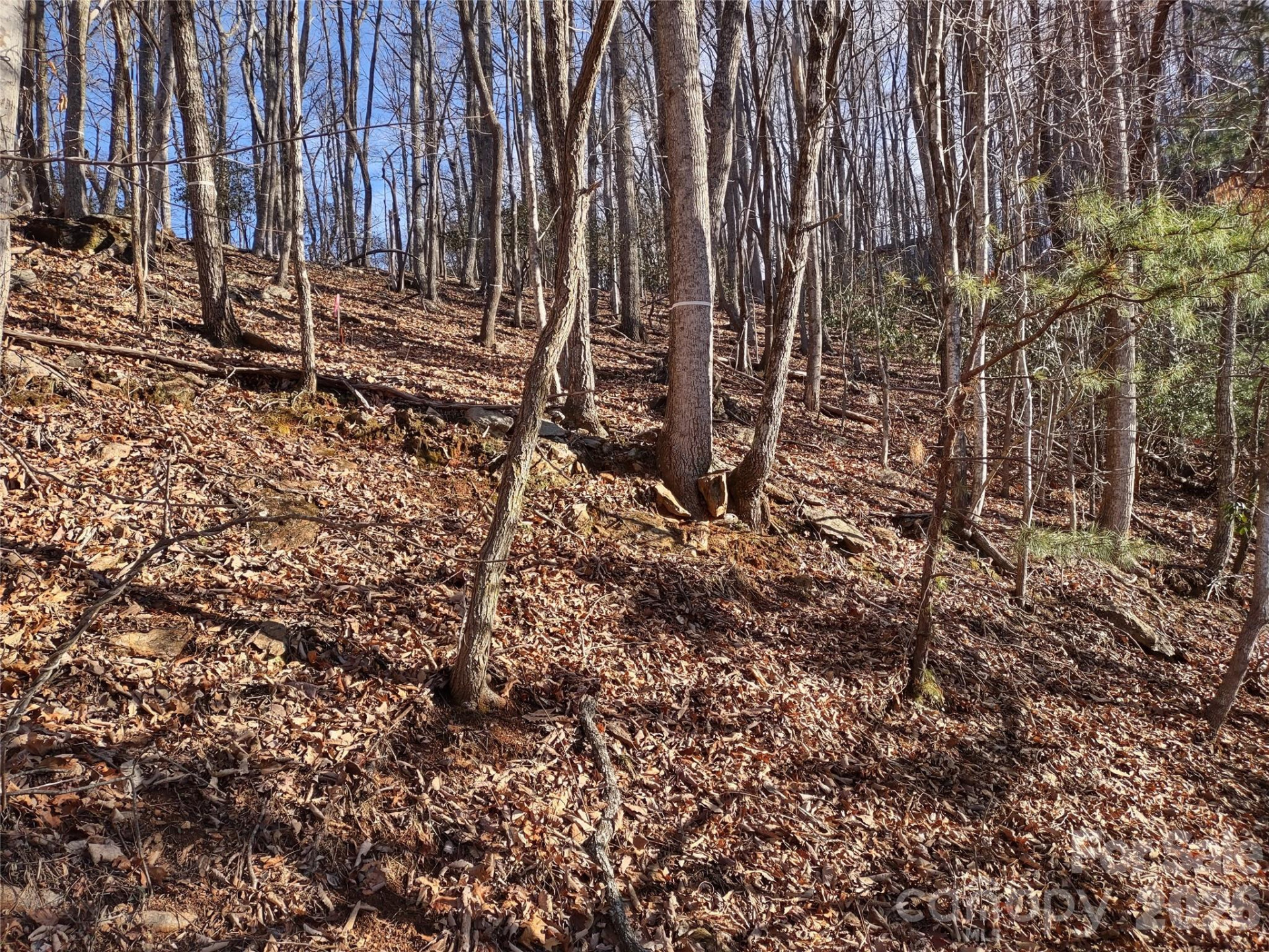 99999 Cedar Drive #273 - Photo 4