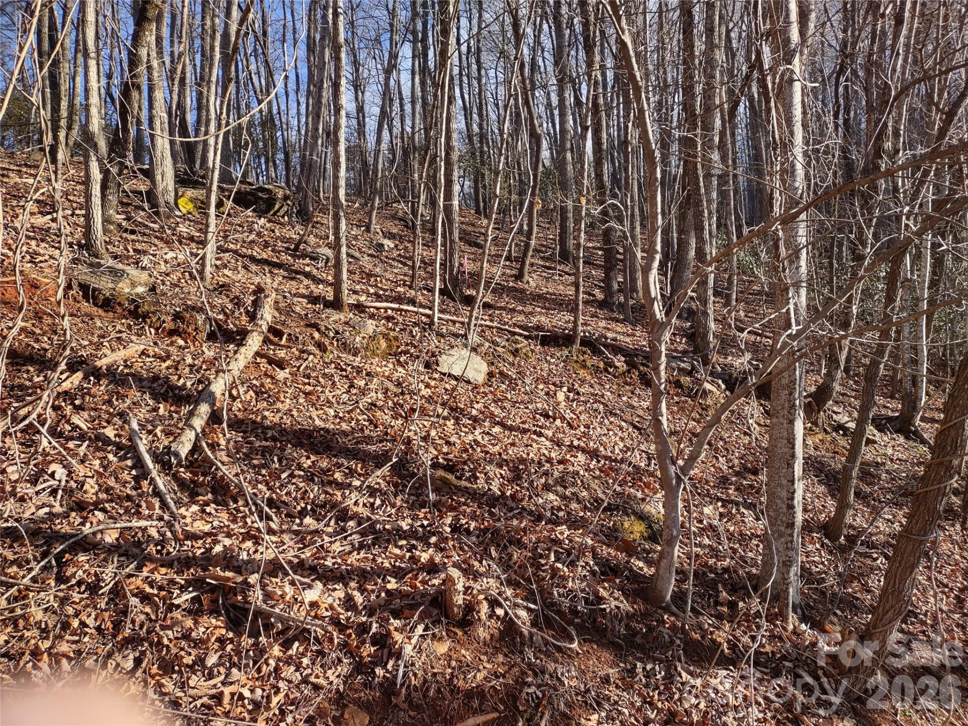 99999 Cedar Drive #273 - Photo 5