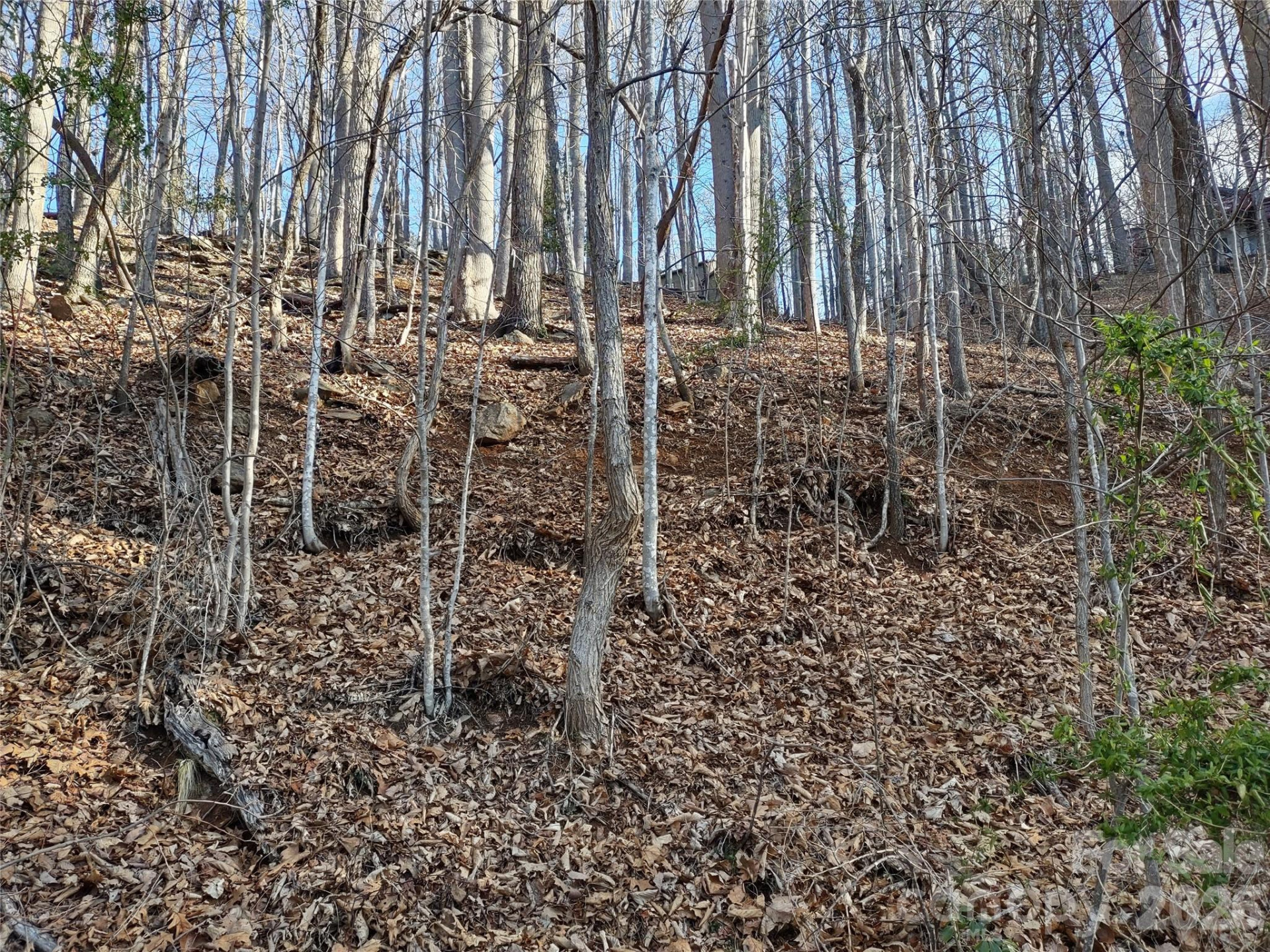 99999 Cedar Drive #273 - Photo 6