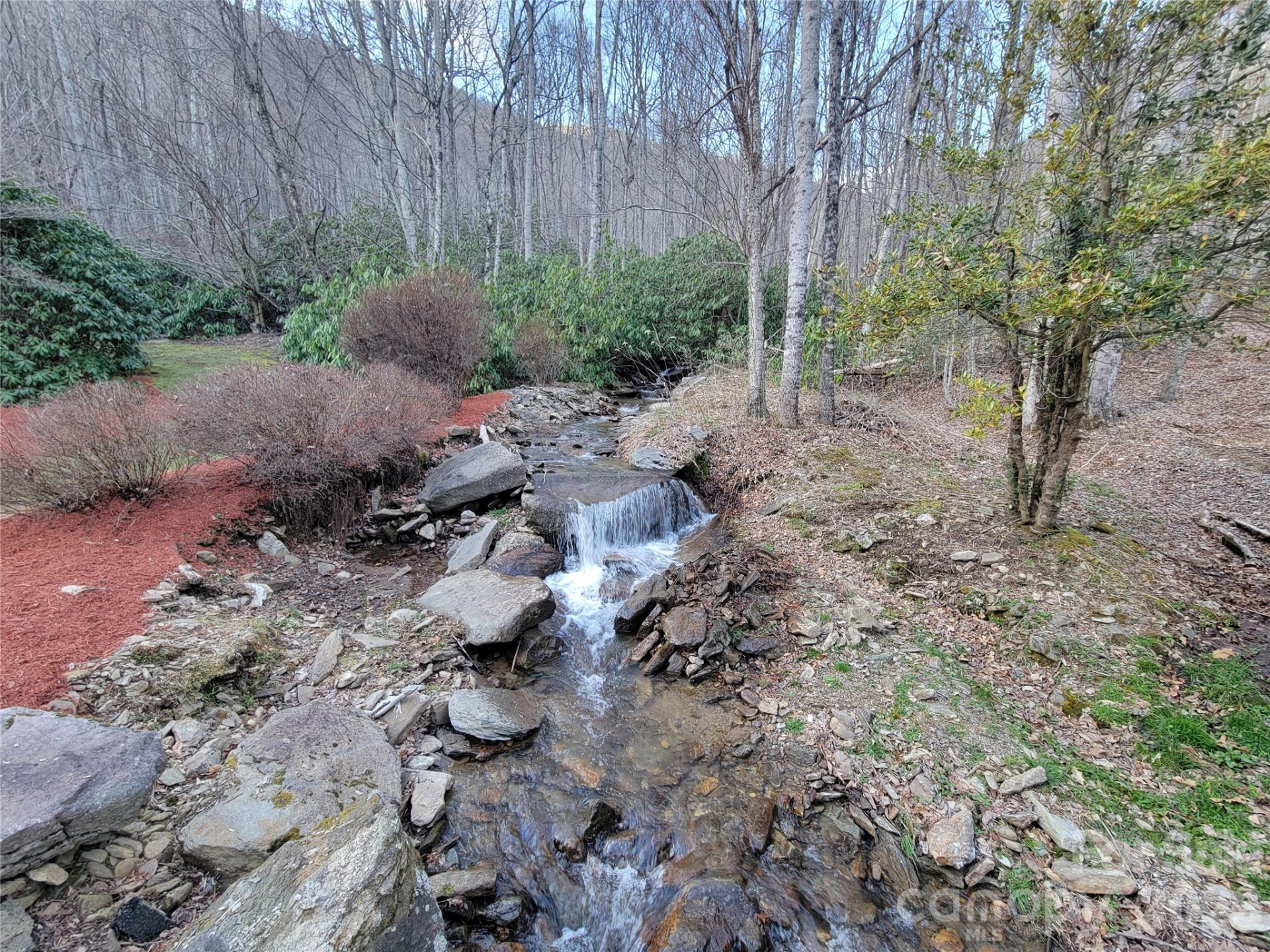 00 Covecrest Drive #1 - Photo 5