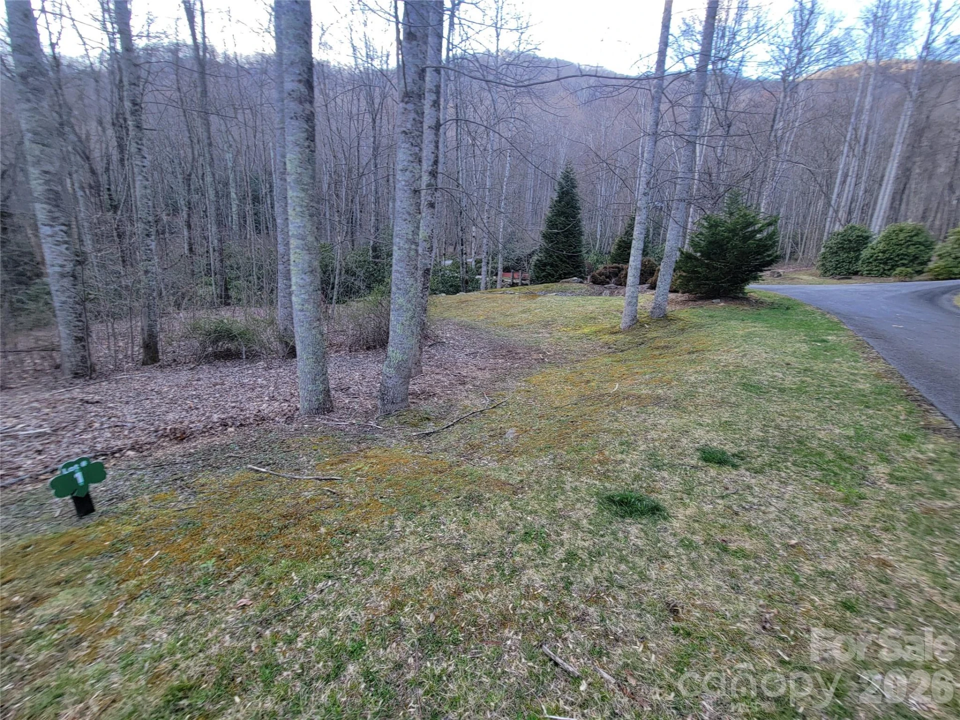 00 Covecrest Drive #1 - Photo 8