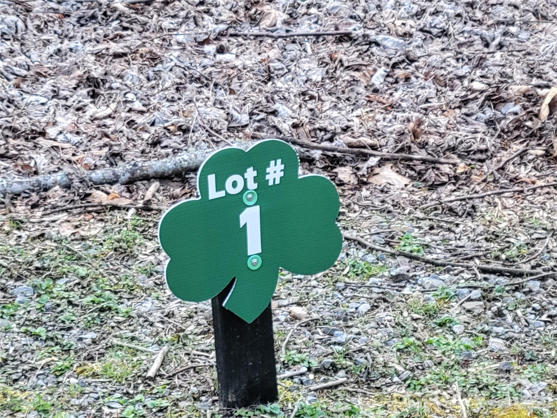 00 Covecrest Drive #1 - Photo 10