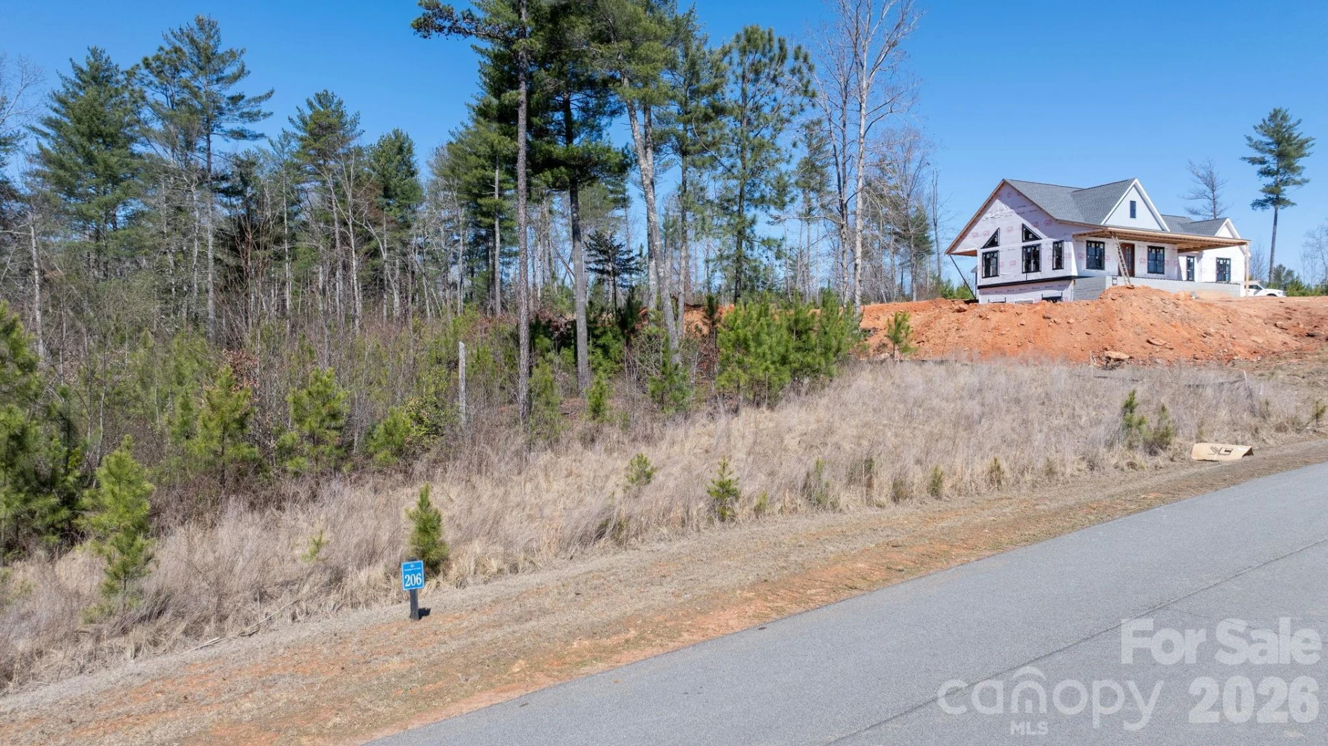 0 Scenic Lane #206 - Photo 2