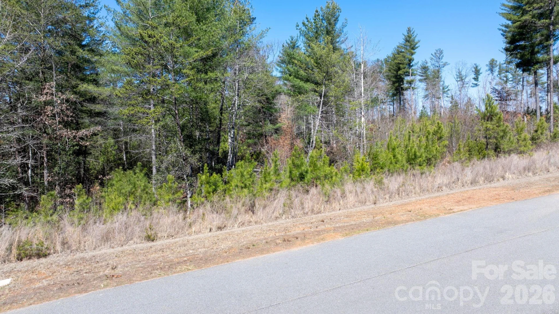0 Scenic Lane #206 - Photo 17
