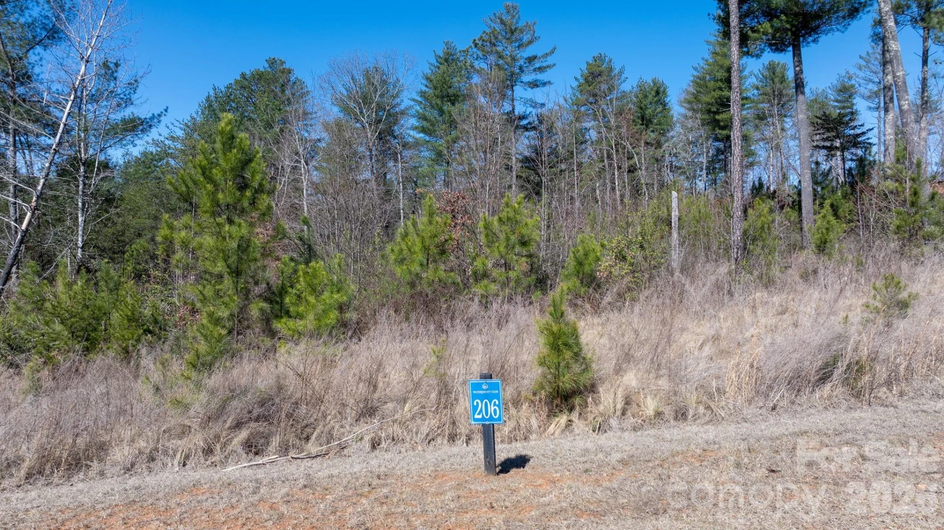 0 Scenic Lane #206 - Photo 3