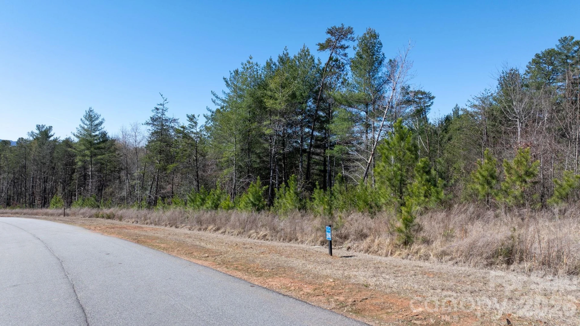 0 Scenic Lane #206 - Photo 8
