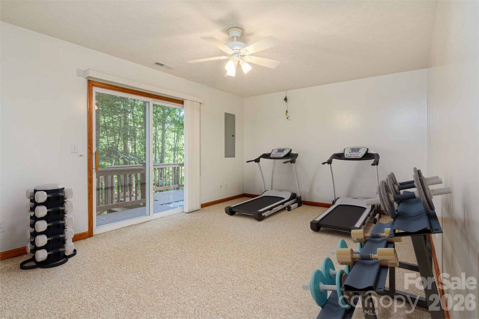 299 Carriage Summitt Way - Photo 36