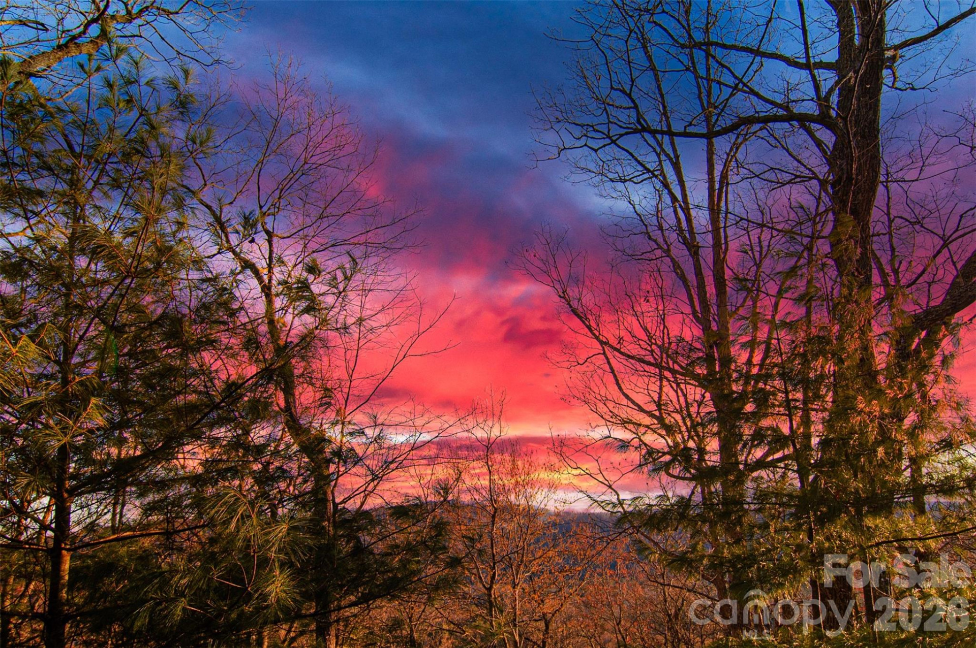 299 Carriage Summitt Way - Photo 9