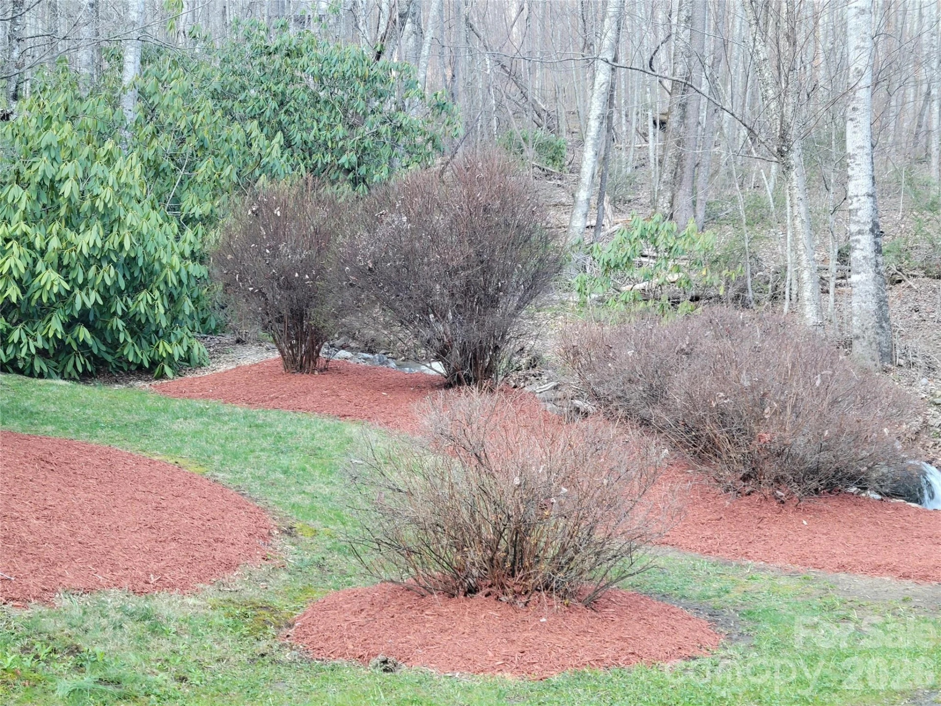 00 Rosewood Lane #5 - Photo 3