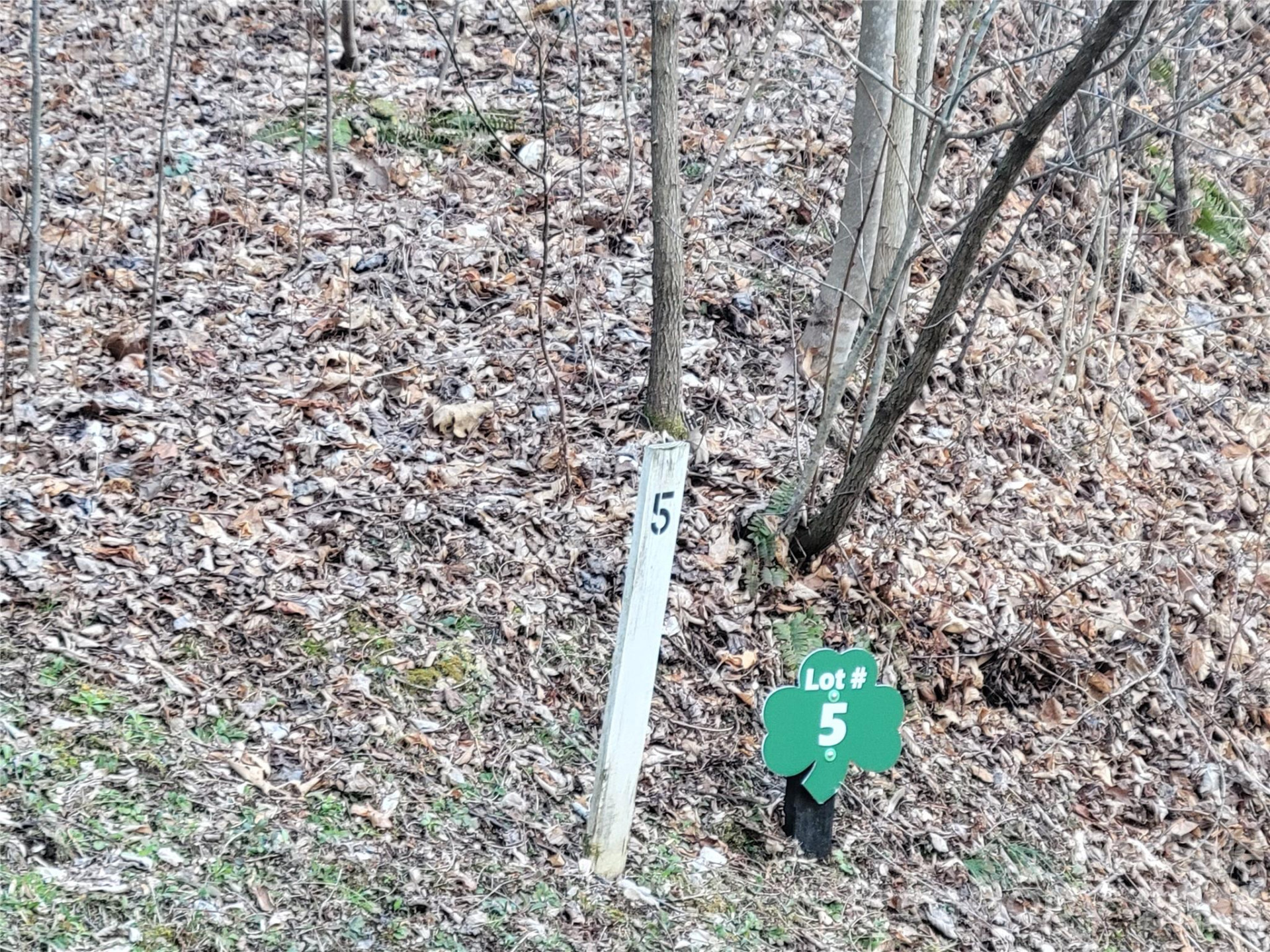 00 Rosewood Lane #5 - Photo 7