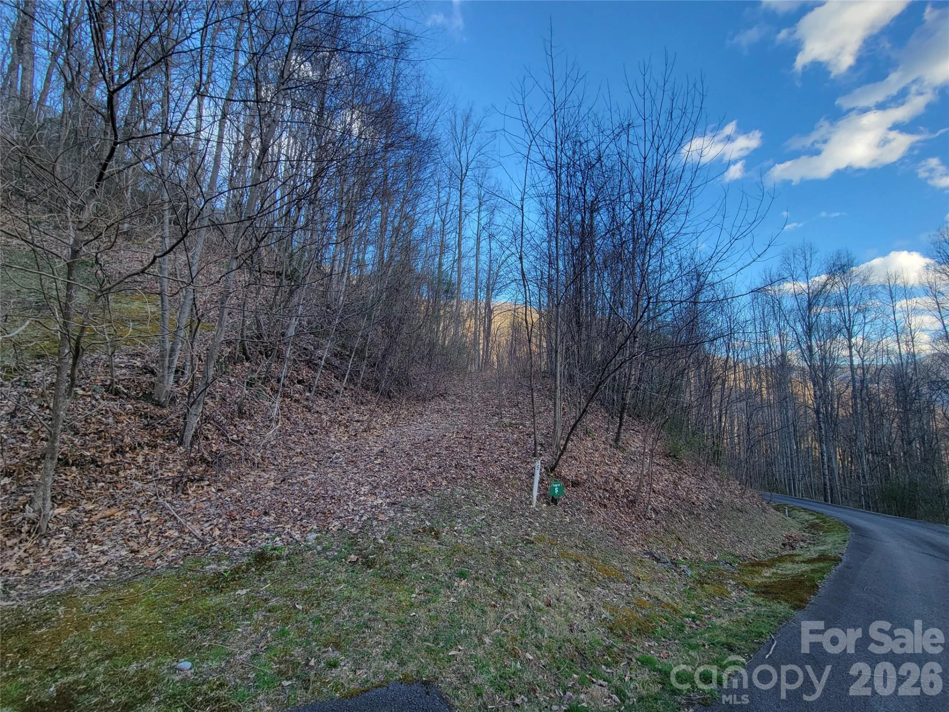 00 Rosewood Lane #5 - Photo 8