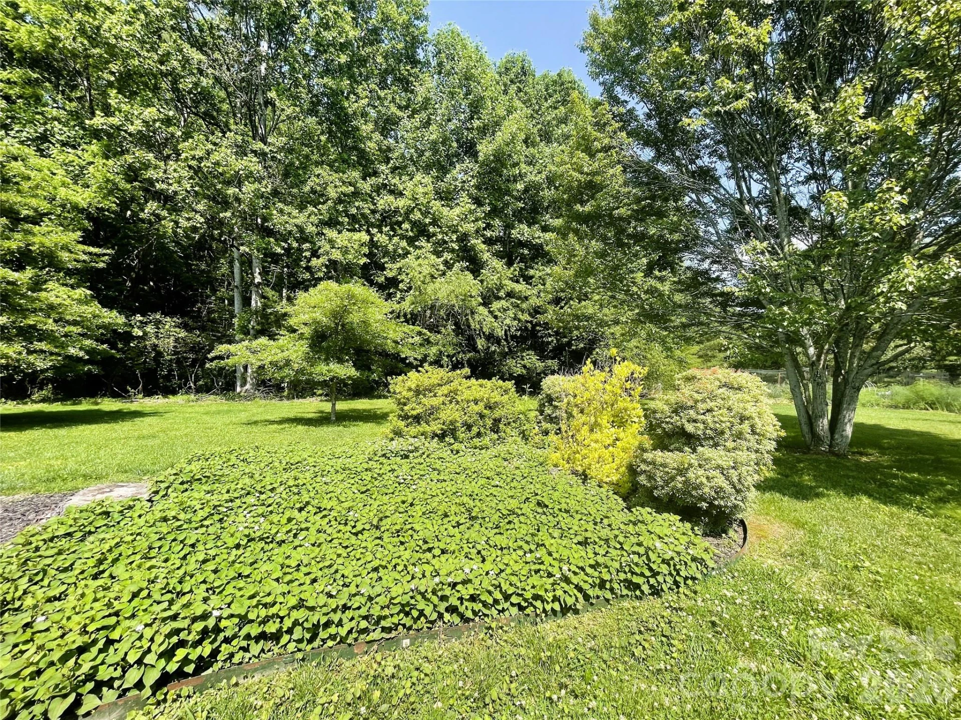 35 Sheffield Place - Photo 8