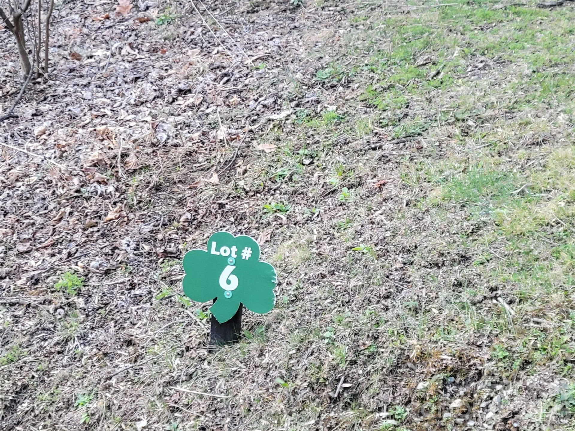 00 Rosewood Lane #6 - Photo 7