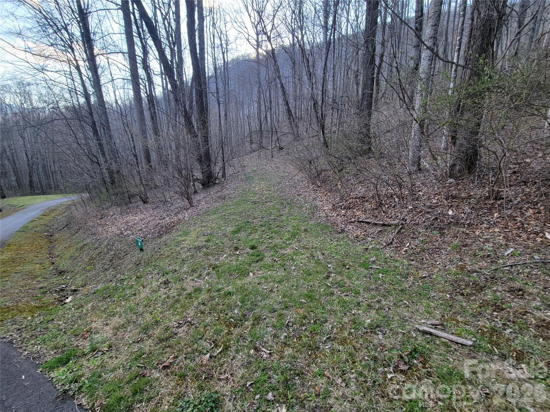 00 Rosewood Lane #6 - Photo 8