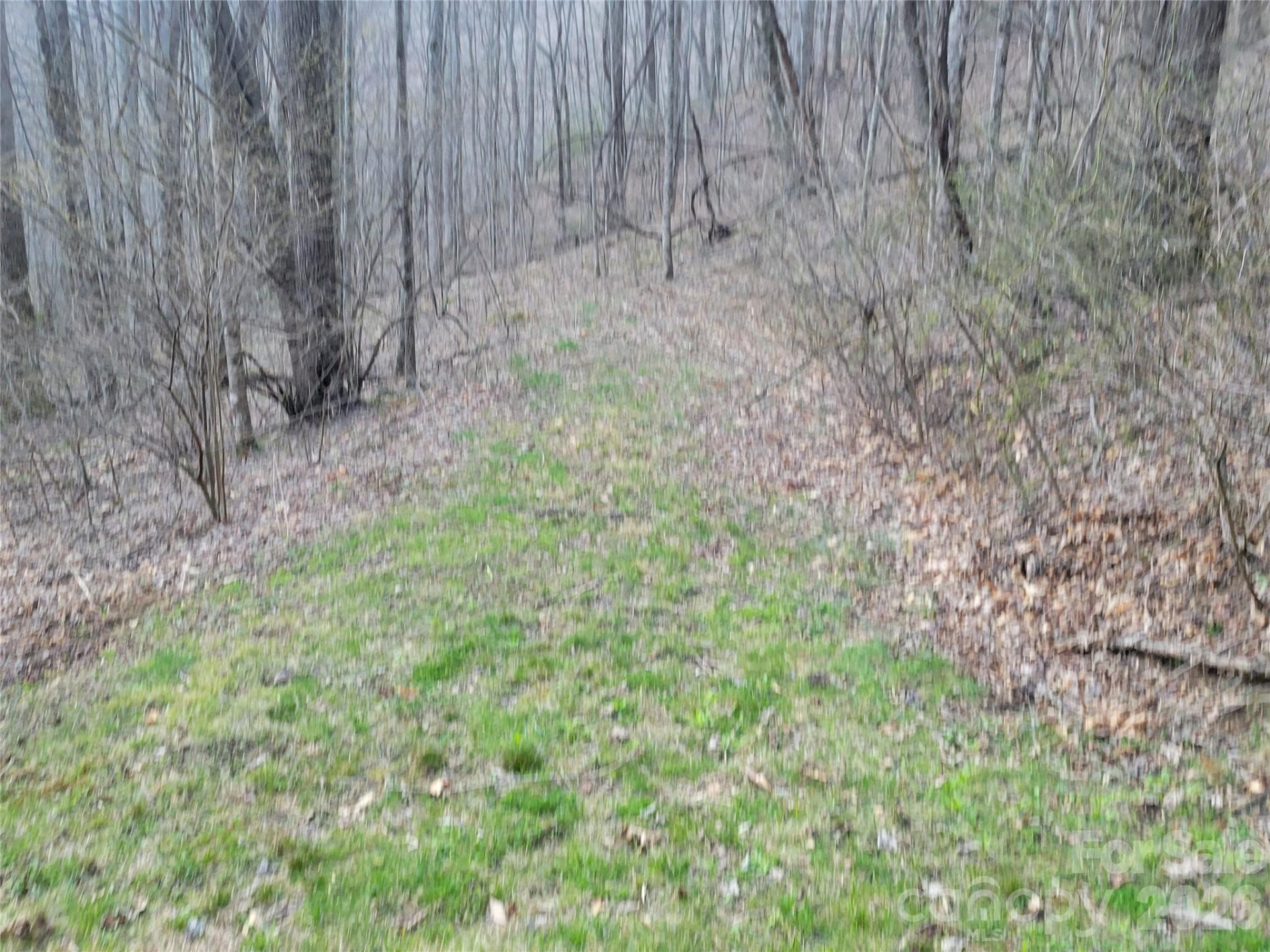 00 Rosewood Lane #6 - Photo 10