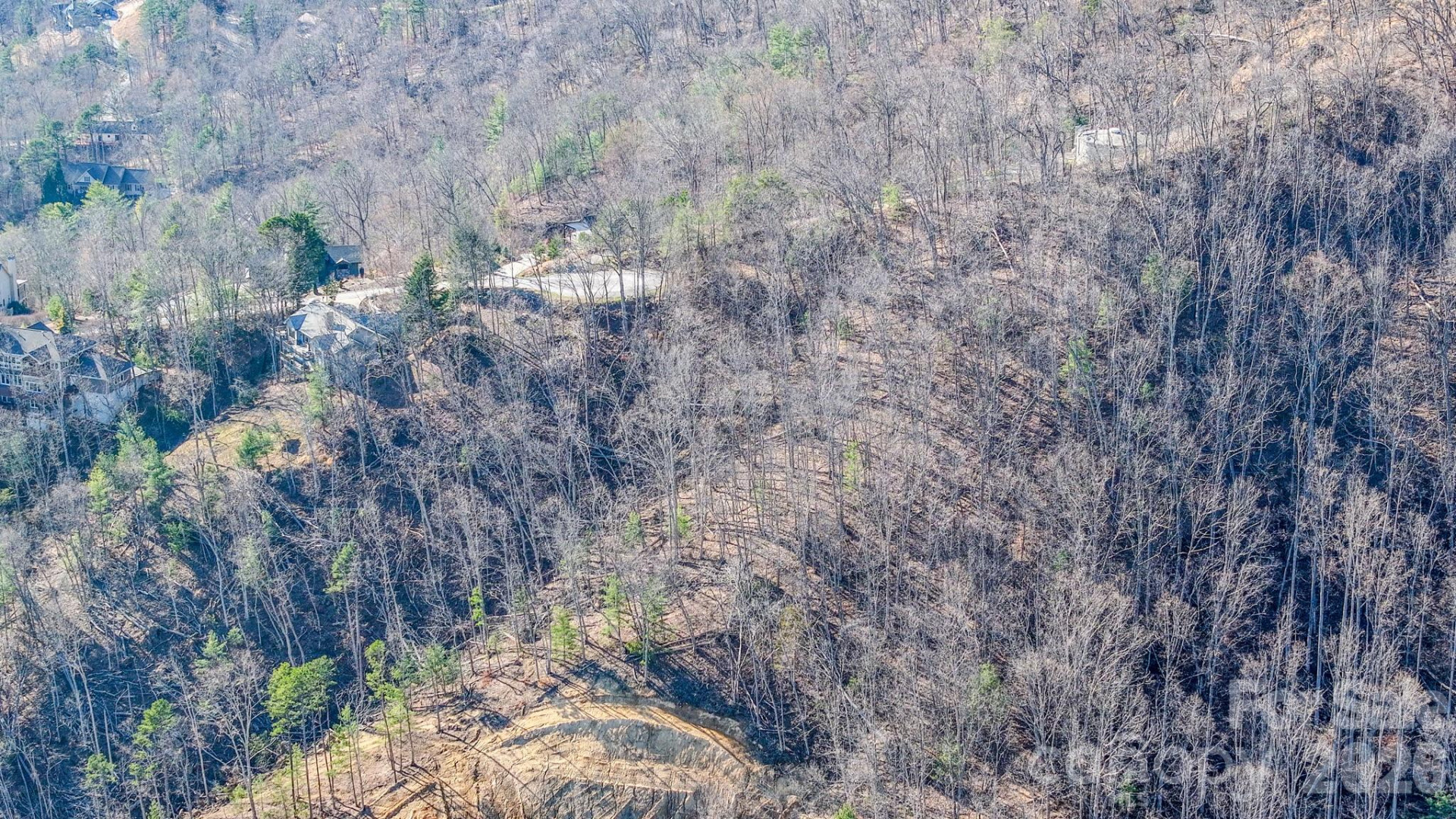 99999 High Bluff Drive - Photo 3