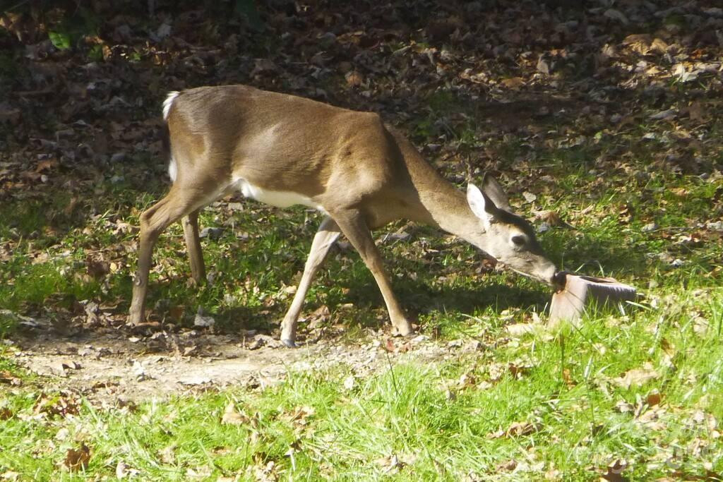 592 Liberty Church Road - Photo 7