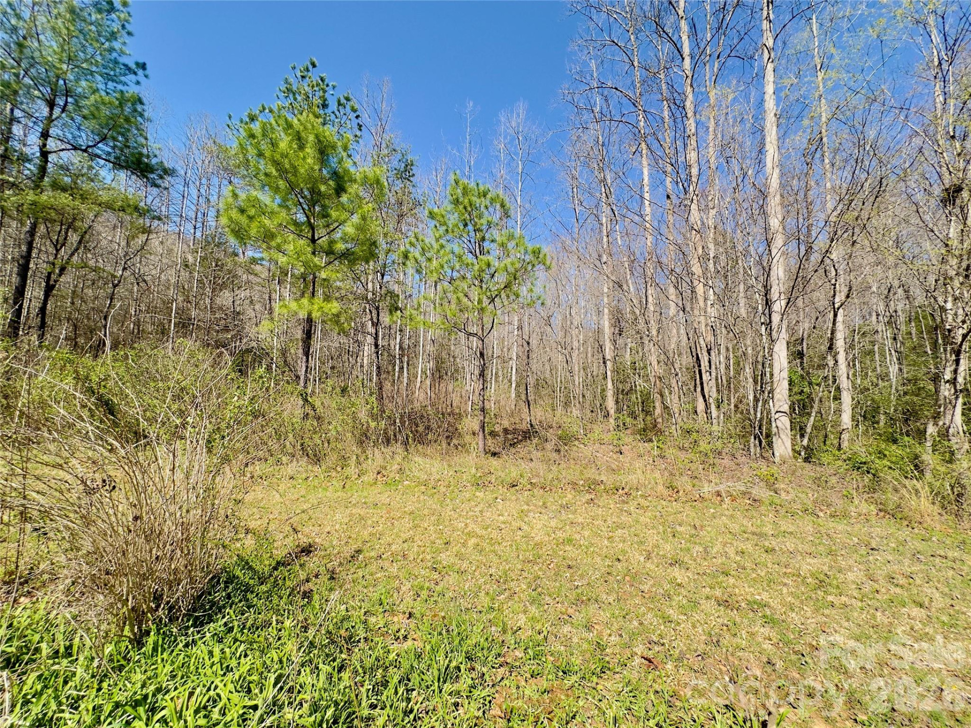 592 Liberty Church Road - Photo 8