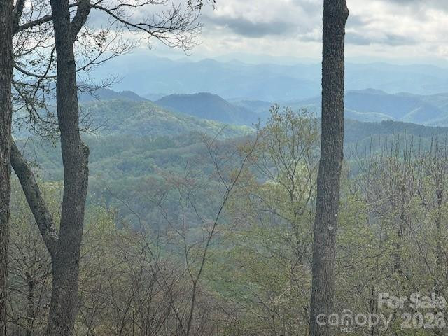 34 Wolfs Head Court - Photo 7