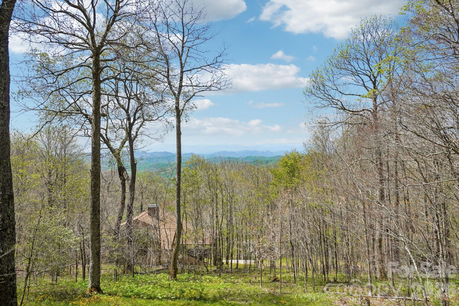 34 Wolfs Head Court - Photo 8